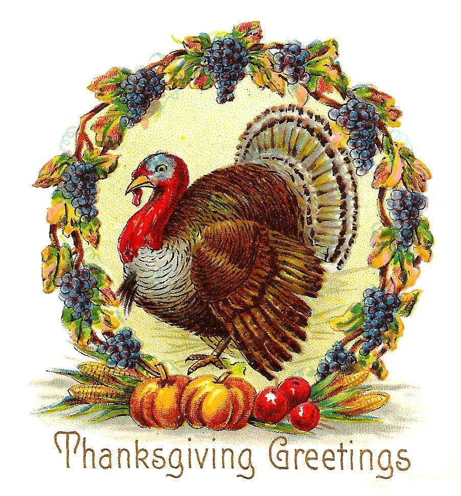 Antique Image: Free Thanksgiving Day Graphic: Thanksgiving Turkey with Wreath of Purple. Thanksgiving clip art, Vintage thanksgiving, Vintage thanksgiving cards