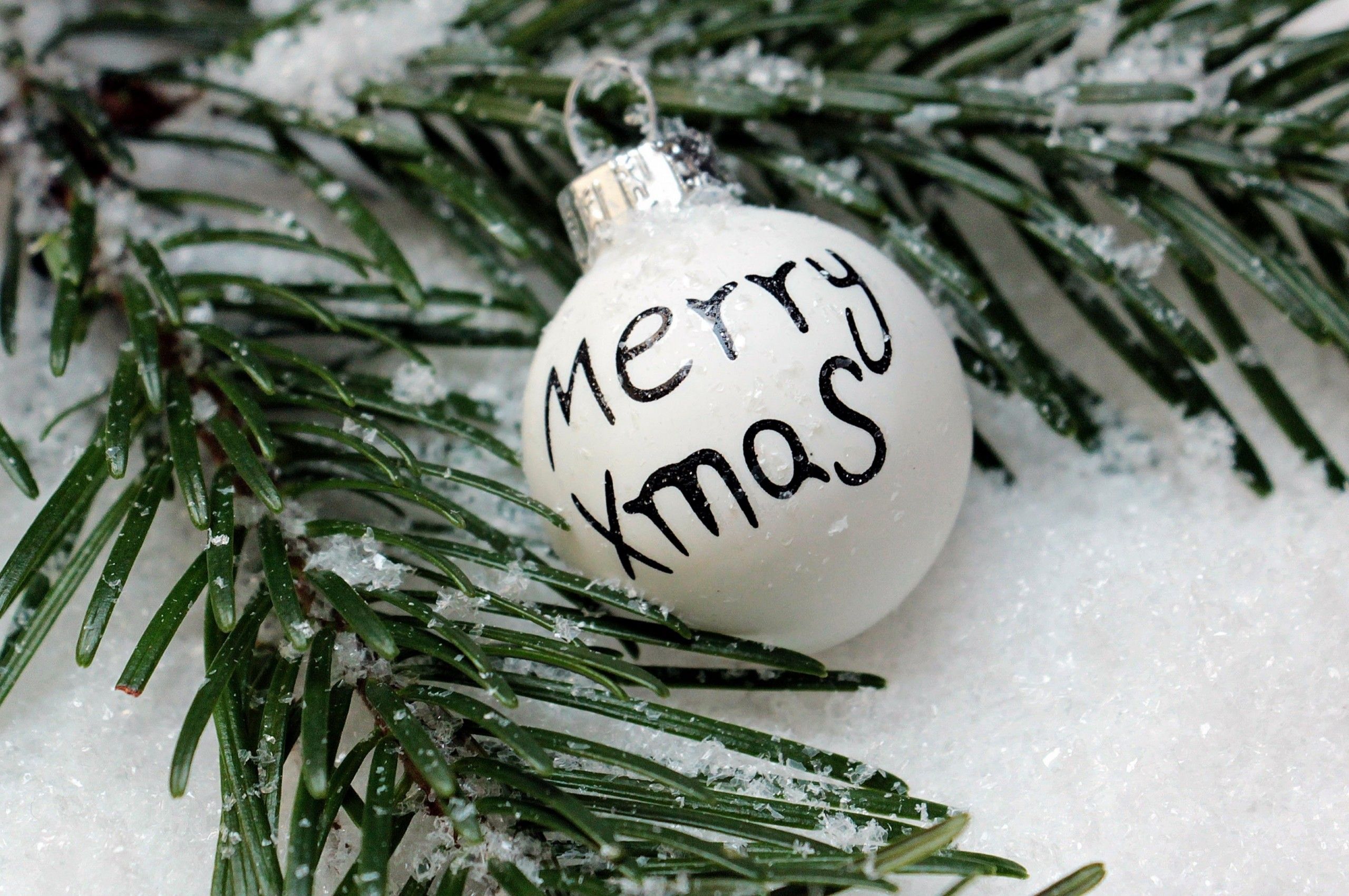 Download 2560x1700 Merry Christmas, Pine, Snow Wallpaper for Chromebook Pixel
