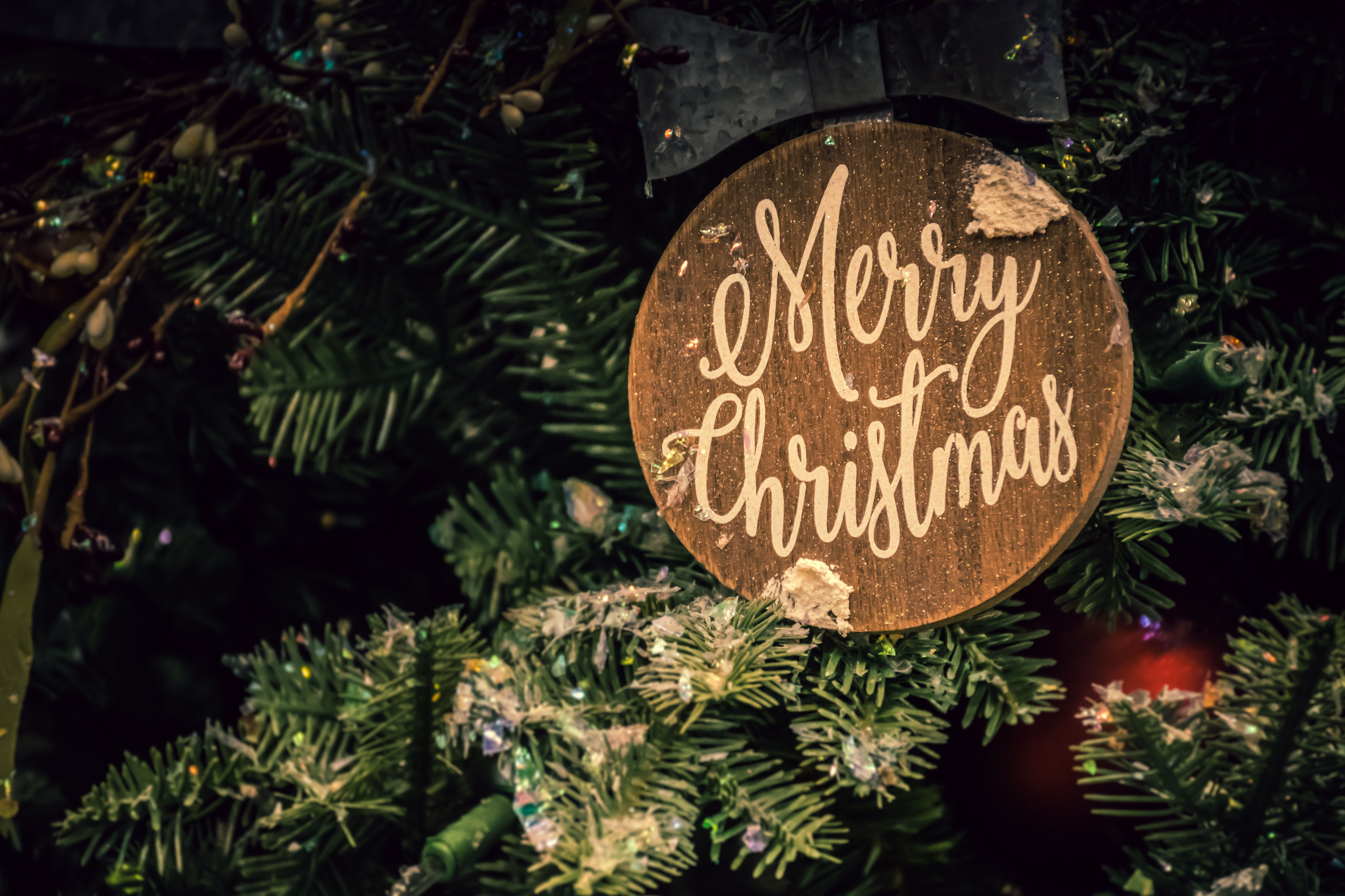 Merry Christmas Sign · Free