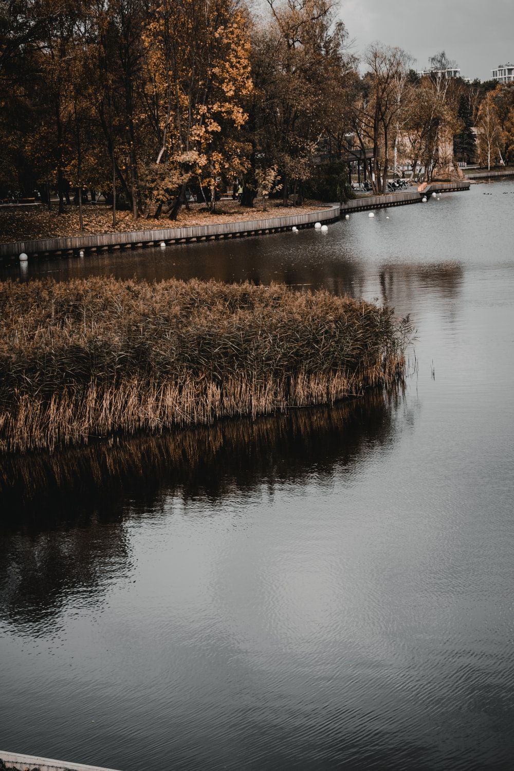 Autumn Lake Picture. Download Free Image