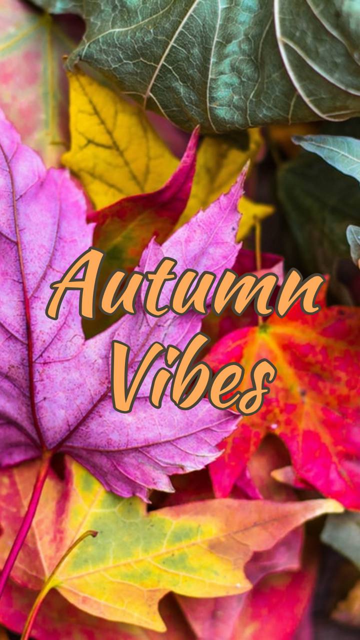 Autumn Vibes wallpaper