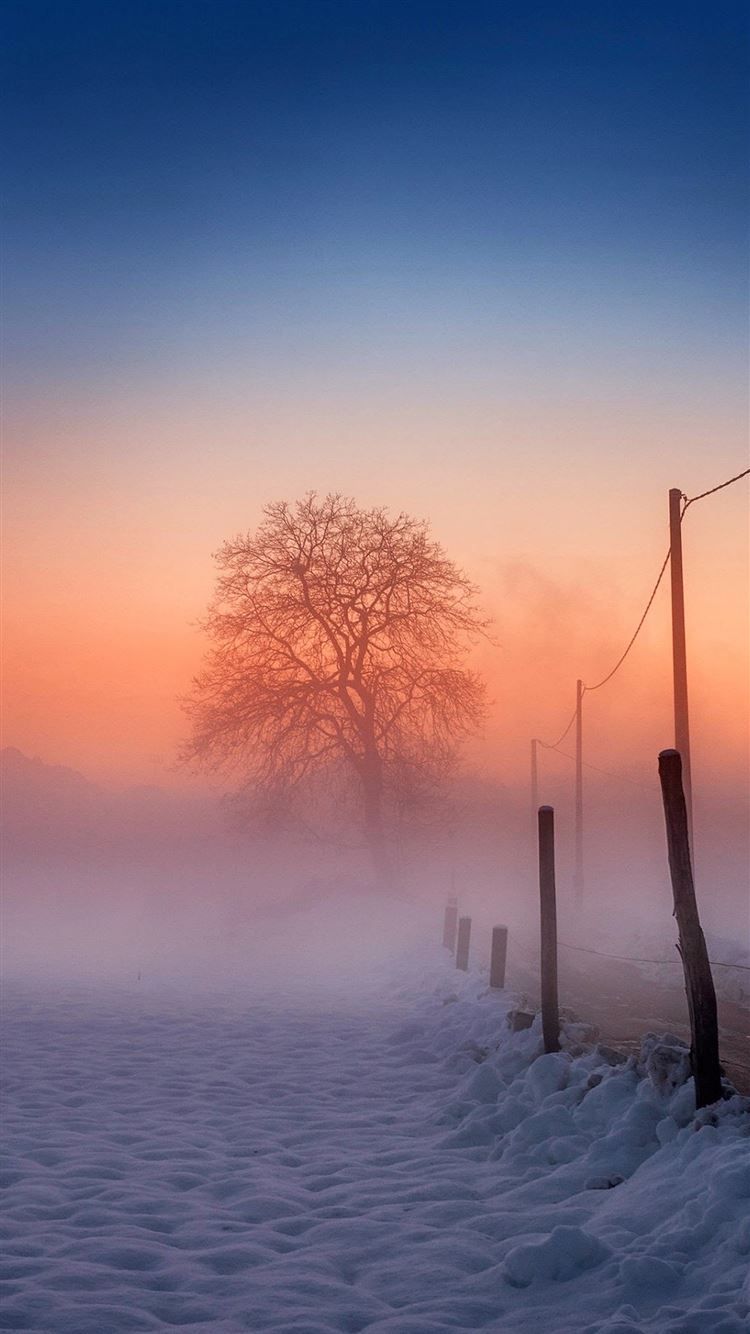 Winter Scene Fog Glow iPhone 8 Wallpaper Free Download