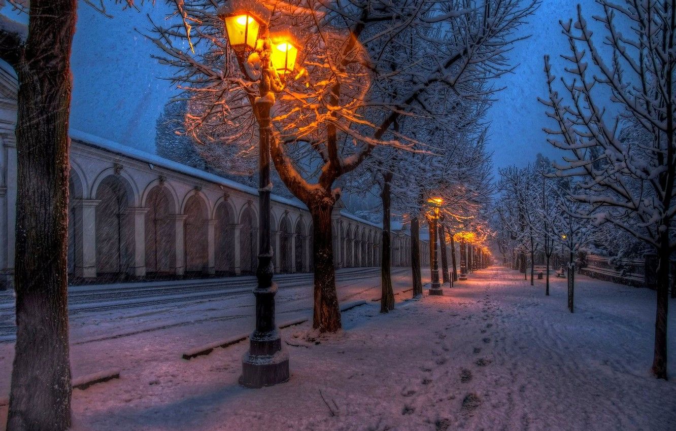 Wallpapers winter, road, snow, trees, nature, lights, Park, the way, street, walk, road, trees, nature, park, winter, snow image for desktop, section природа