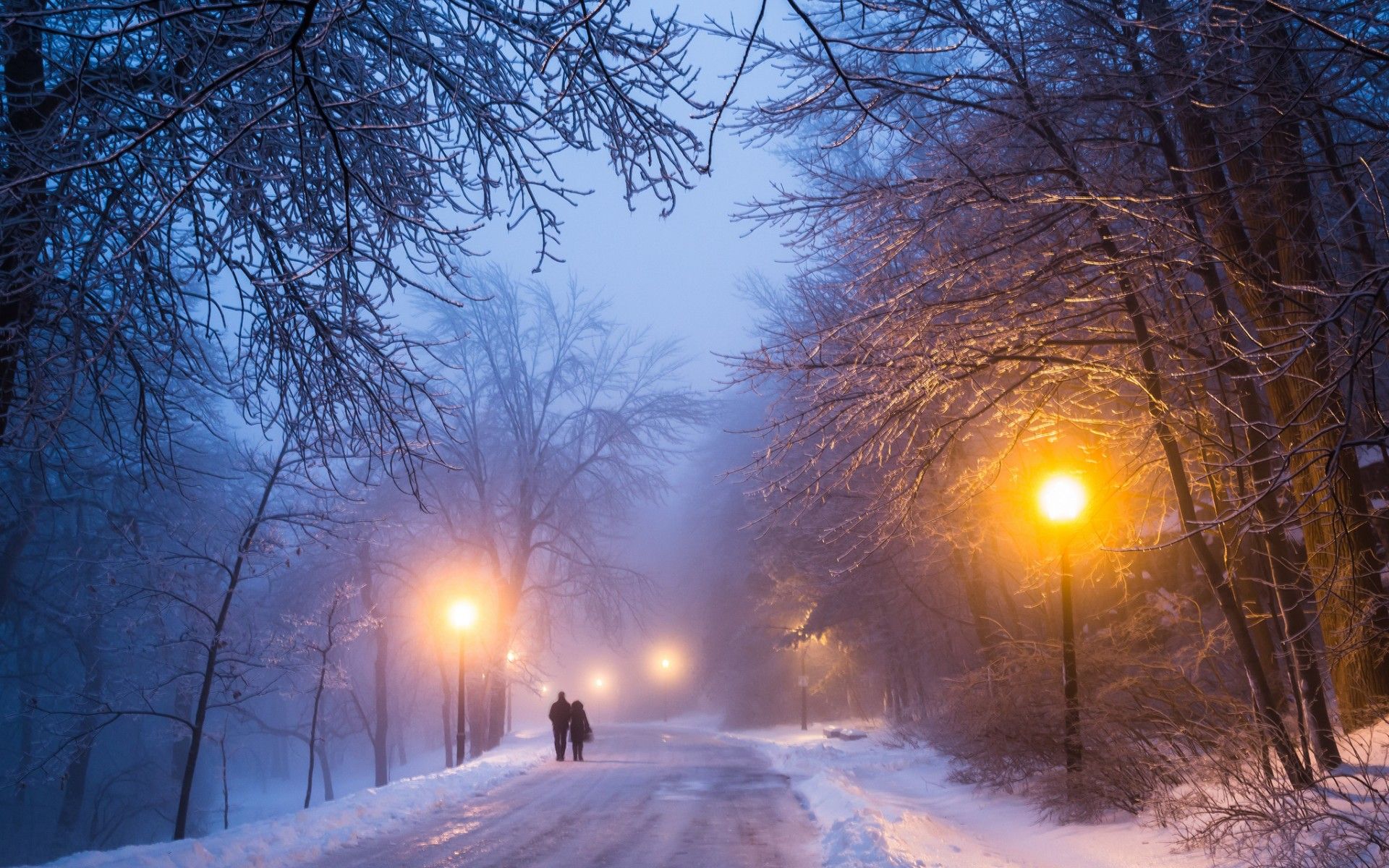 road, street lights, winter, wallpaper, couple, popular, nature, trees, snow wallpaper