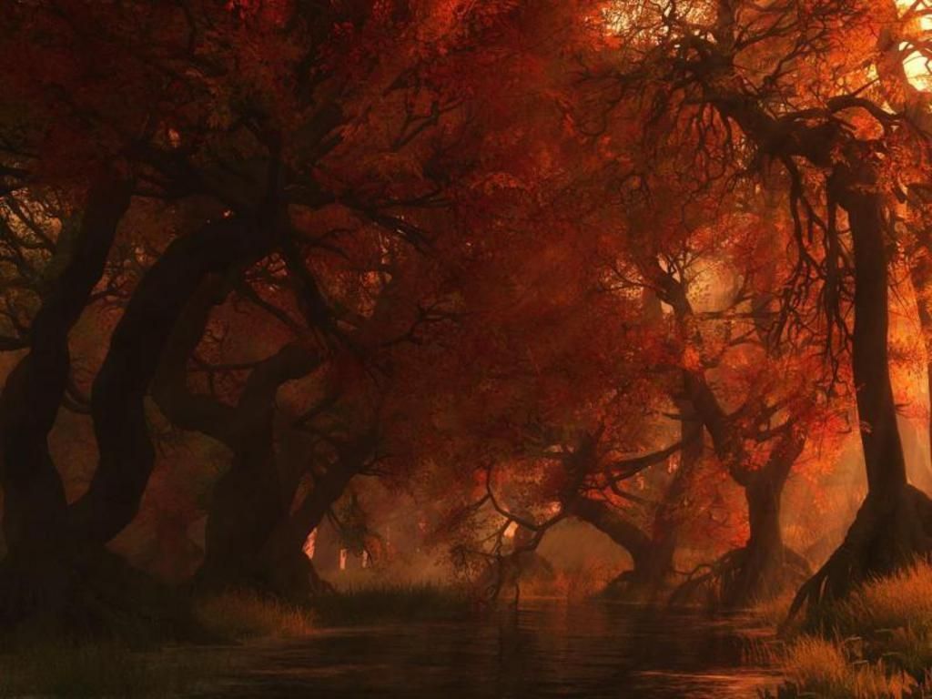 Spooky Autumn Forest. Autumn forest, Nature tree, Scenery