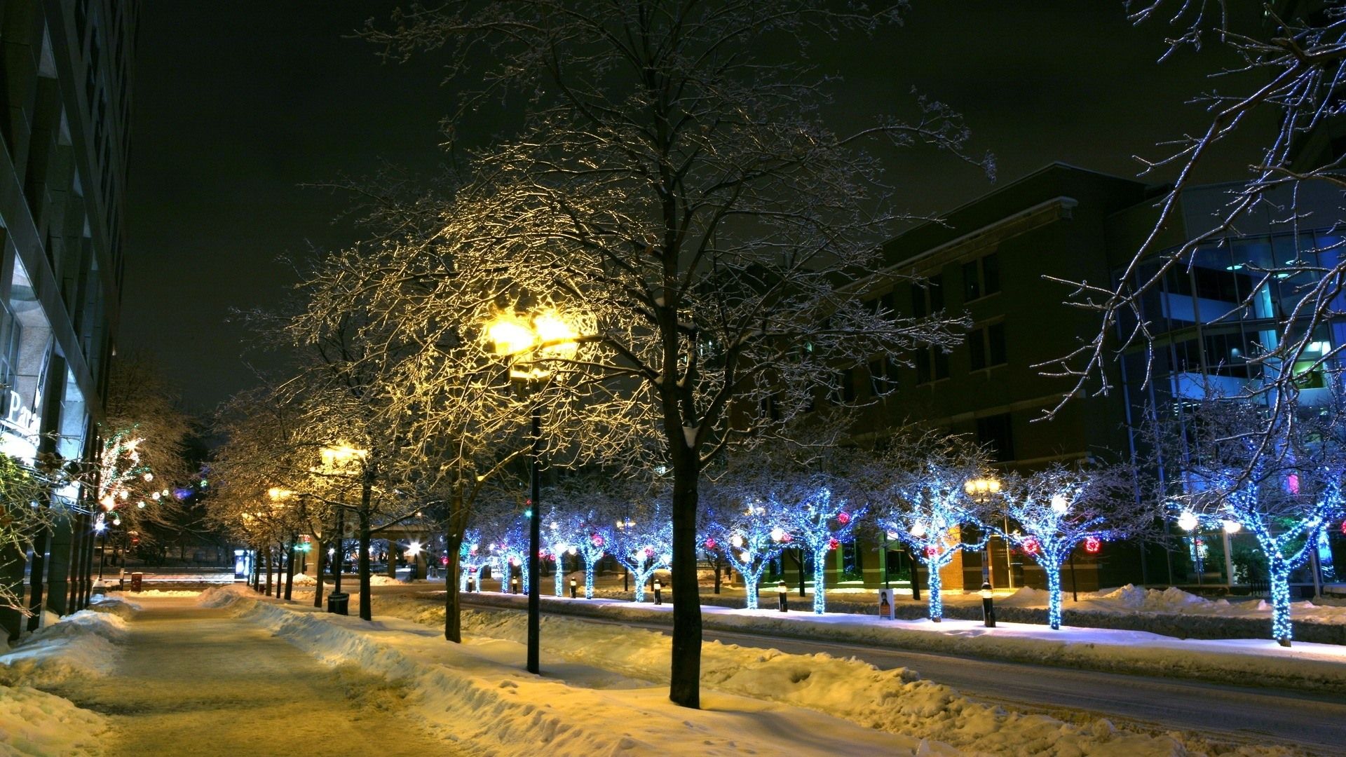 Wallpaper Winter, trees, snow, lights, city, street 1920x1080 Full HD 2K Picture, Image