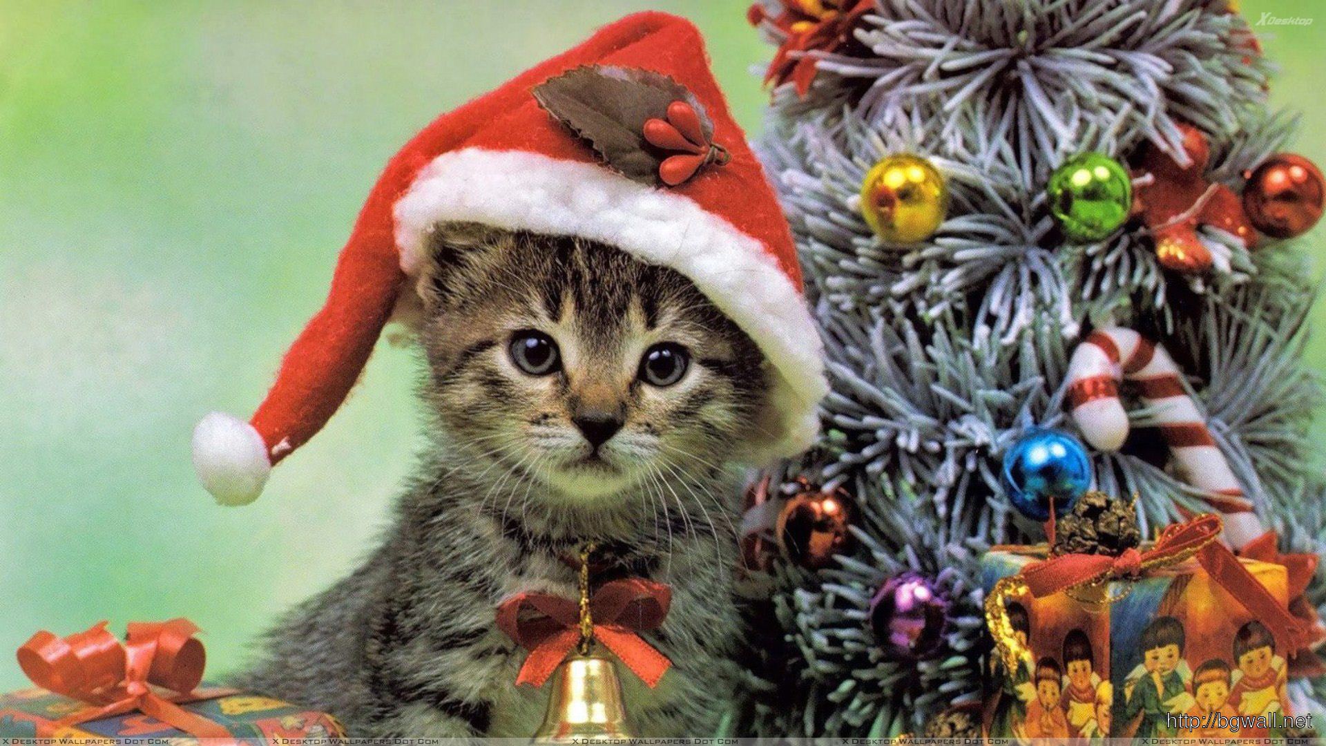 Christmas Cat Desktop Wallpapers Wallpaper Cave