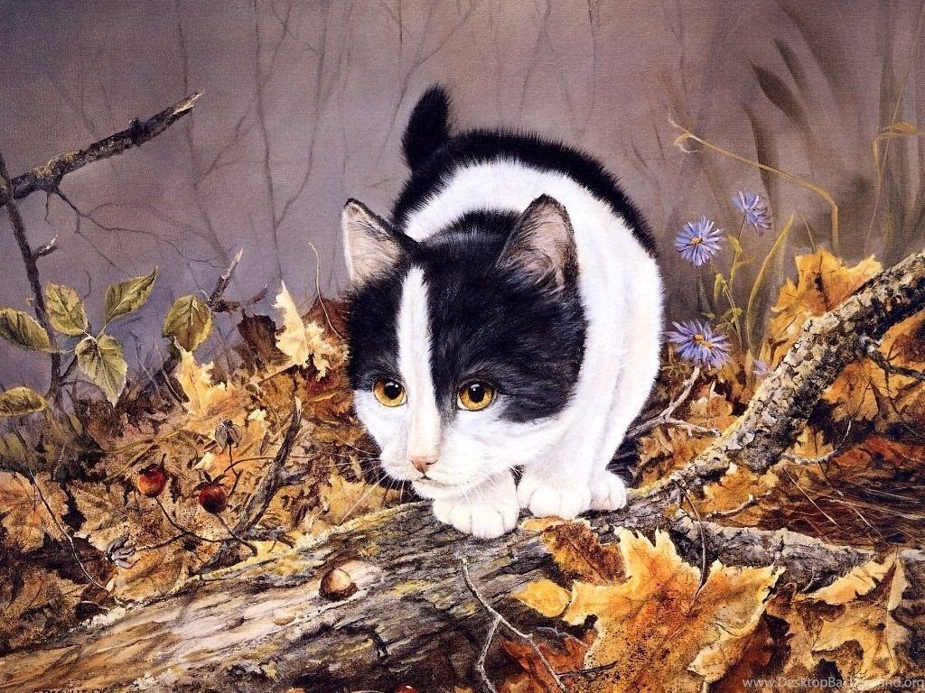 Cats: Calico Cat Autumn Leaf Kitten Wallpaper For Desktop For HD. Desktop Background