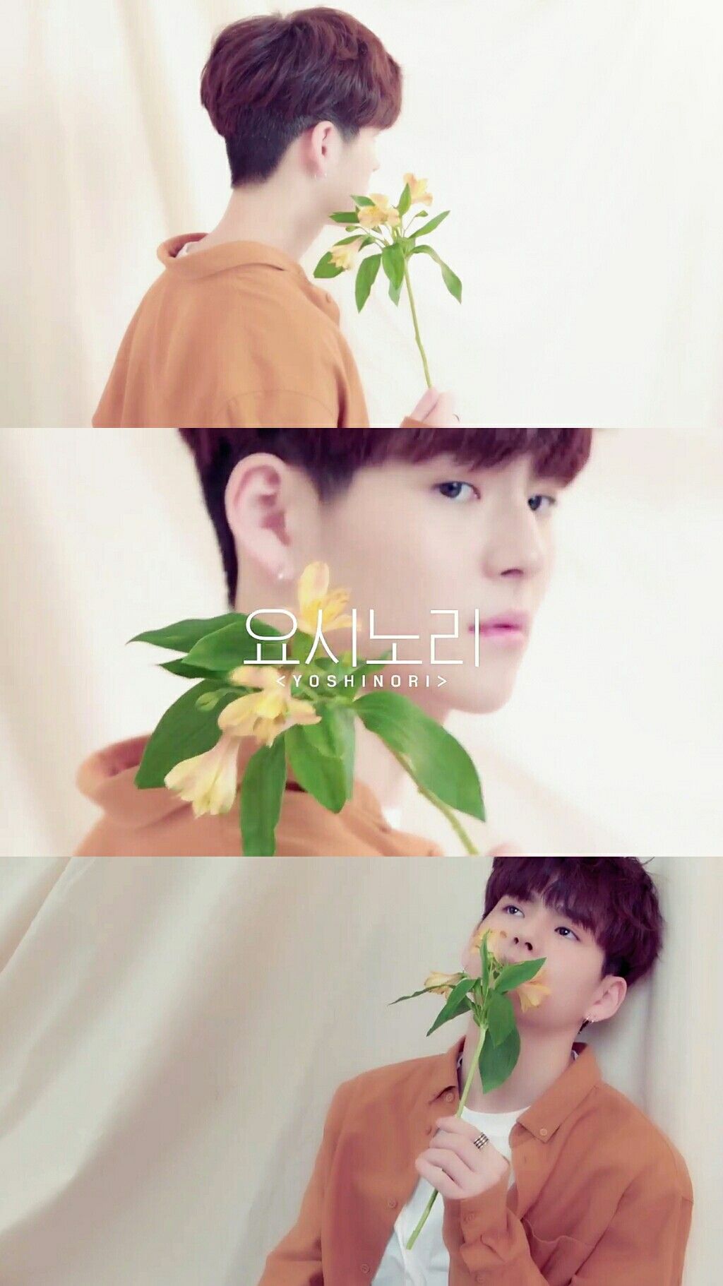 YOSHINORI. YG Treasure Box ✨ wallpaper • lockscreen • edit