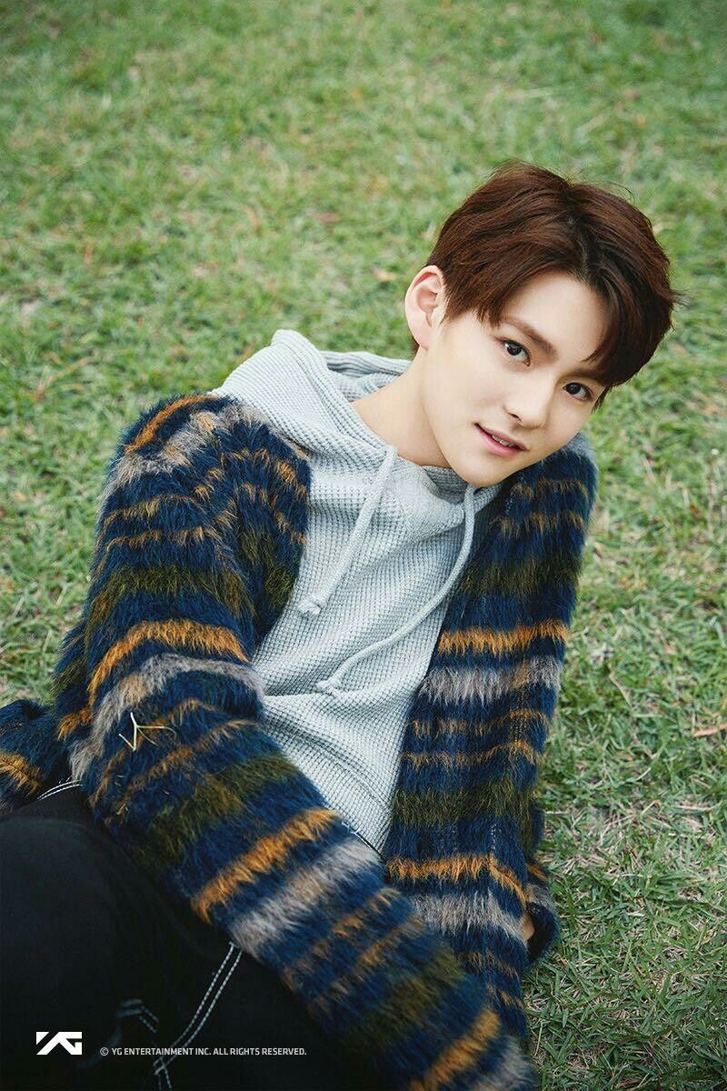 Yoshinori YG Treasure Box. Selebritas, Aktor, Yoshi