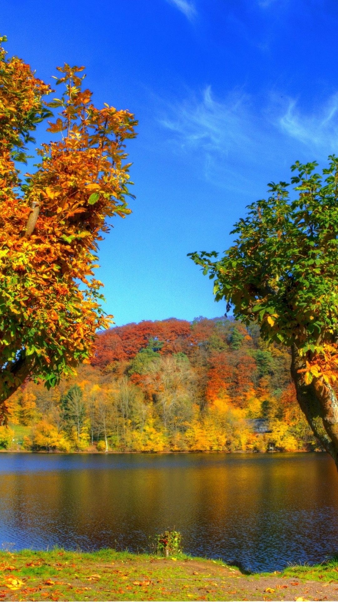 Colorful Autumn Trees & River Htc one wallpaper
