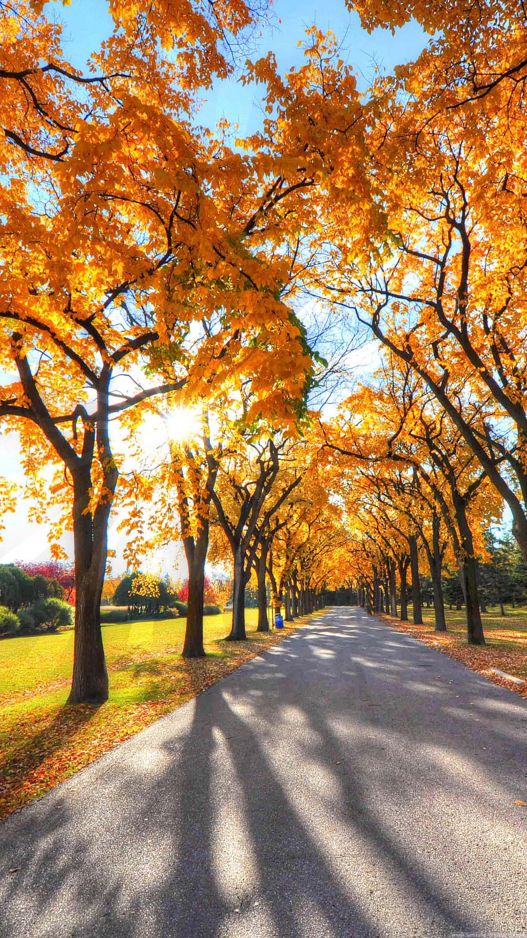 Park Landscape Autumn 1080x1920 Samsung Galaxy Note 3 Wallpaper HD_Samsung Wallpaper