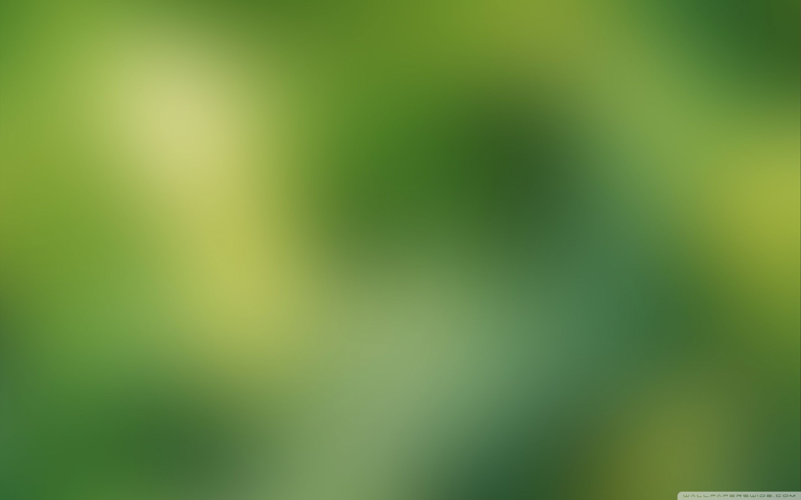 Green Blurry Background Ultra HD Desktop Background Wallpaper for 4K UHD TV, Tablet