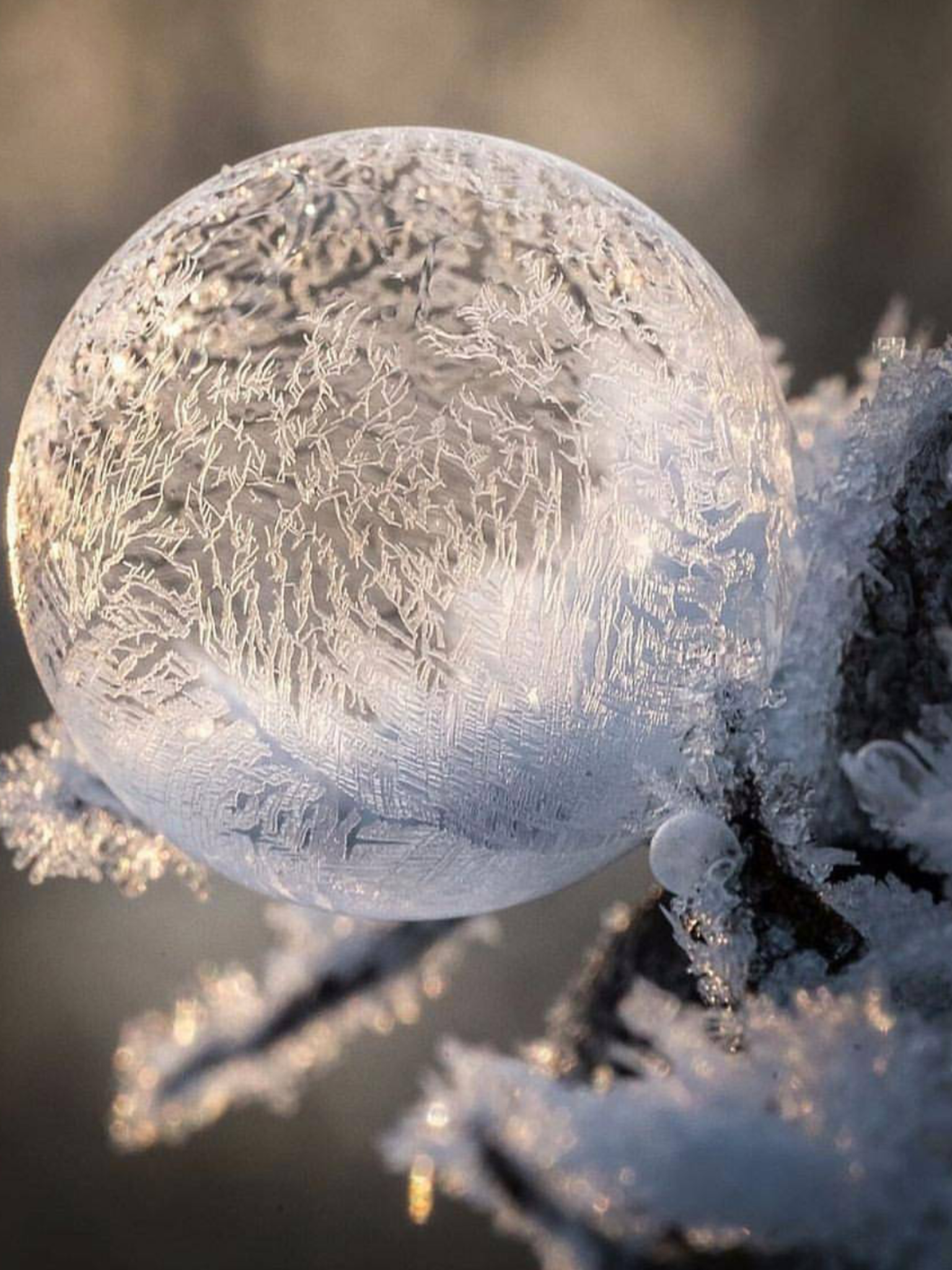 Frozen Bubbles!. Winter photography nature, Winter nature, Snow photography