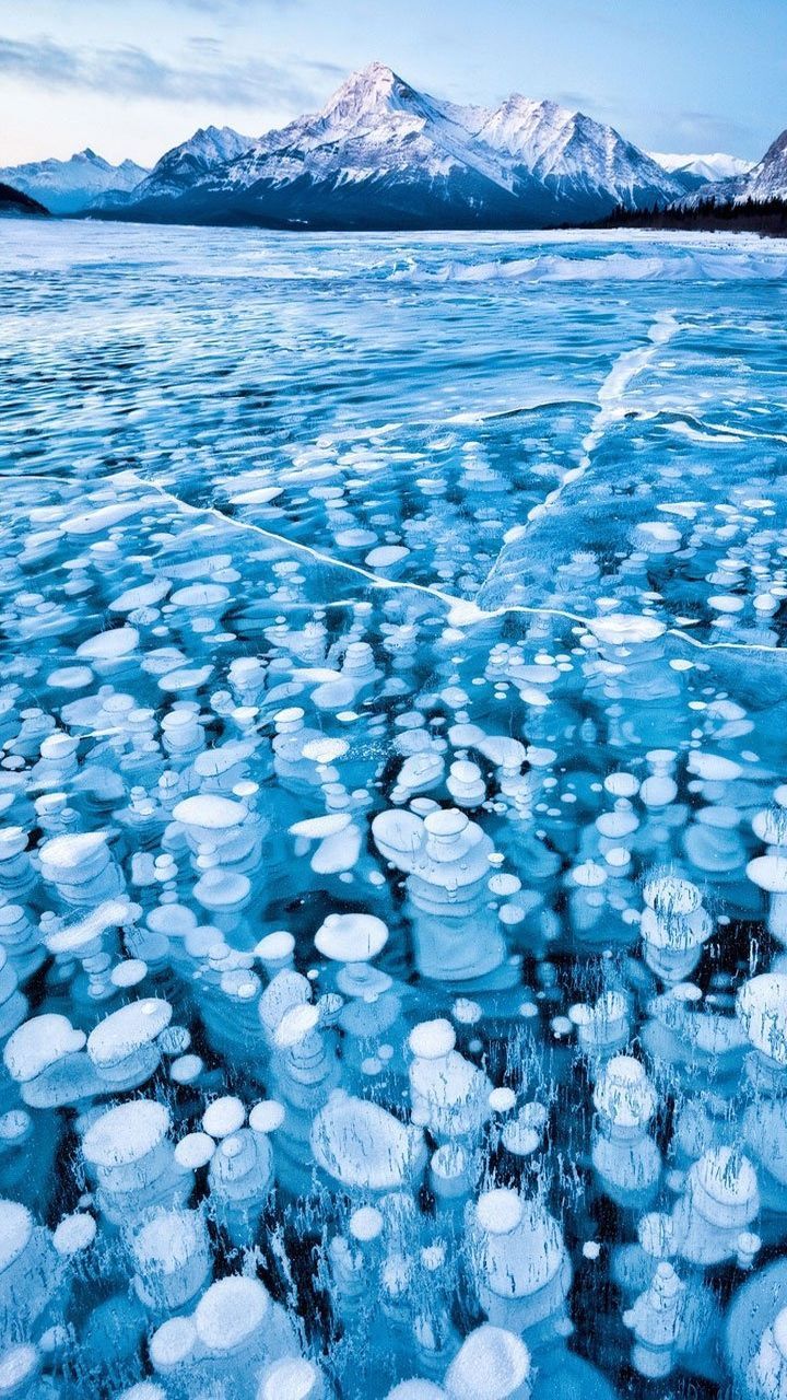 Wallpaper NatureHD Mobile9 (137). Frozen Bubbles, National Geographic Photo Contest, Nature