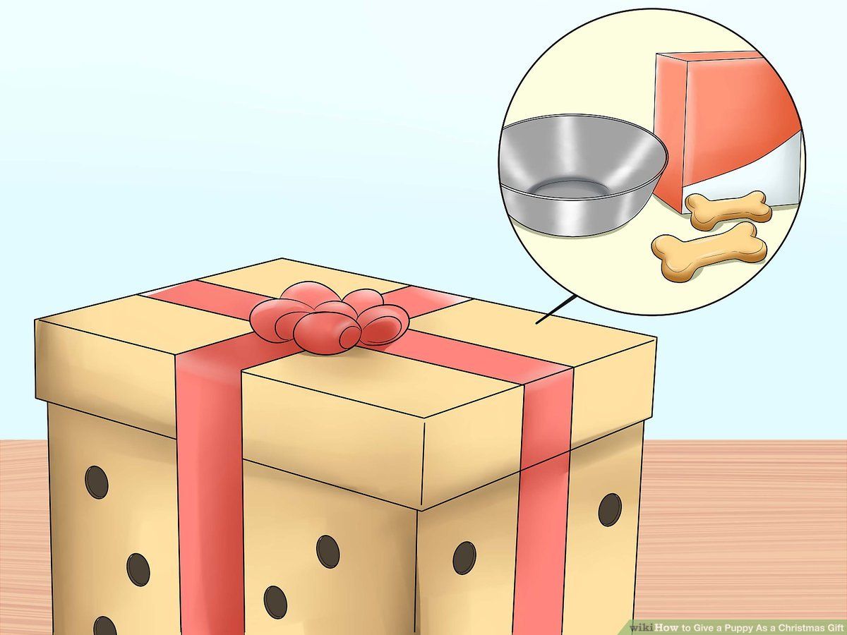 Ways to Give a Puppy As a Christmas Gift