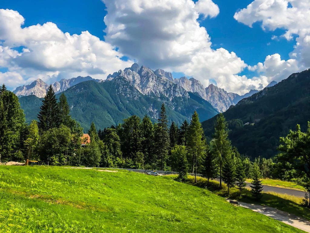 Green 4K wallpaper for your desktop or mobile screen free and easy to download