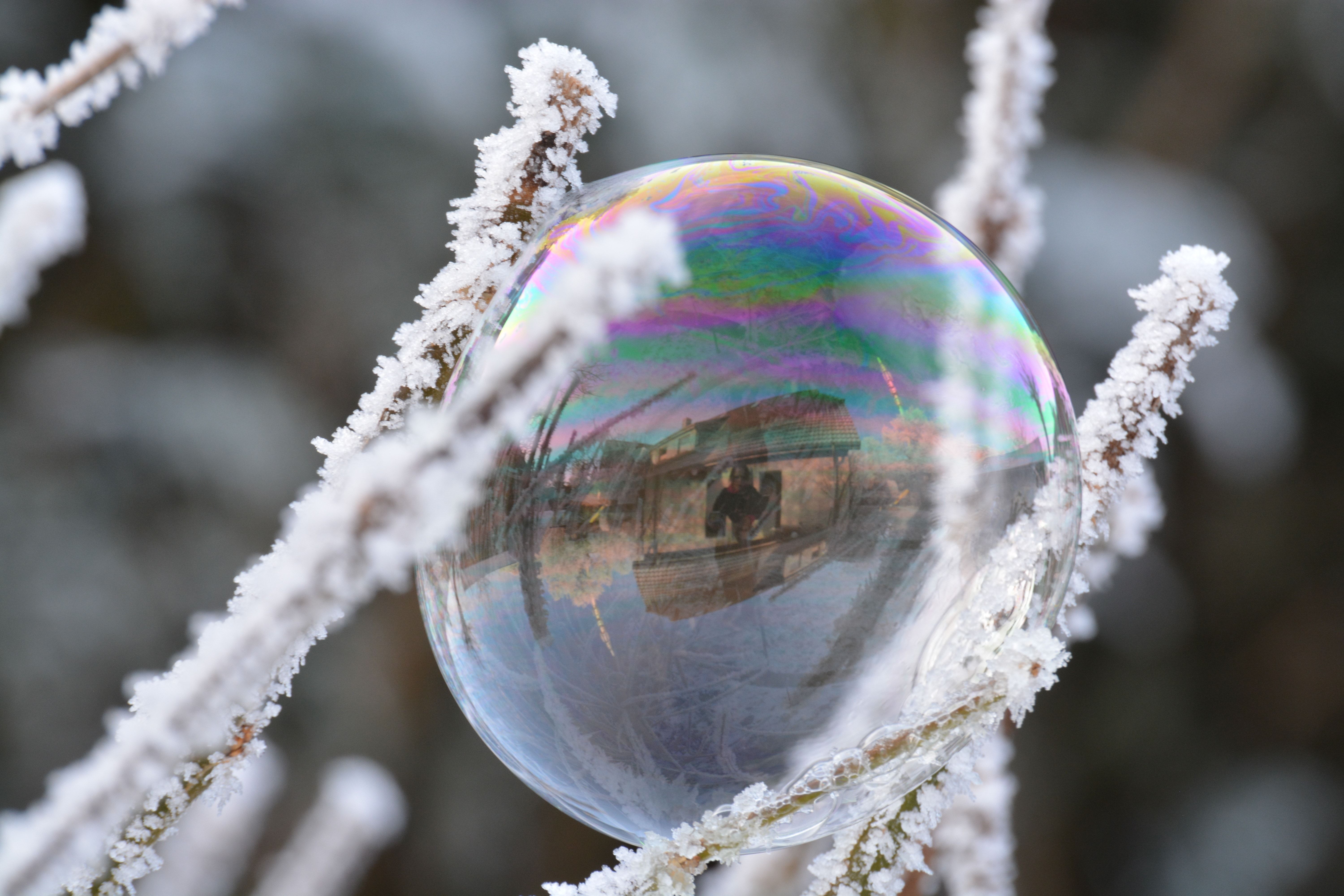 bubble on snow winter macro photography free image