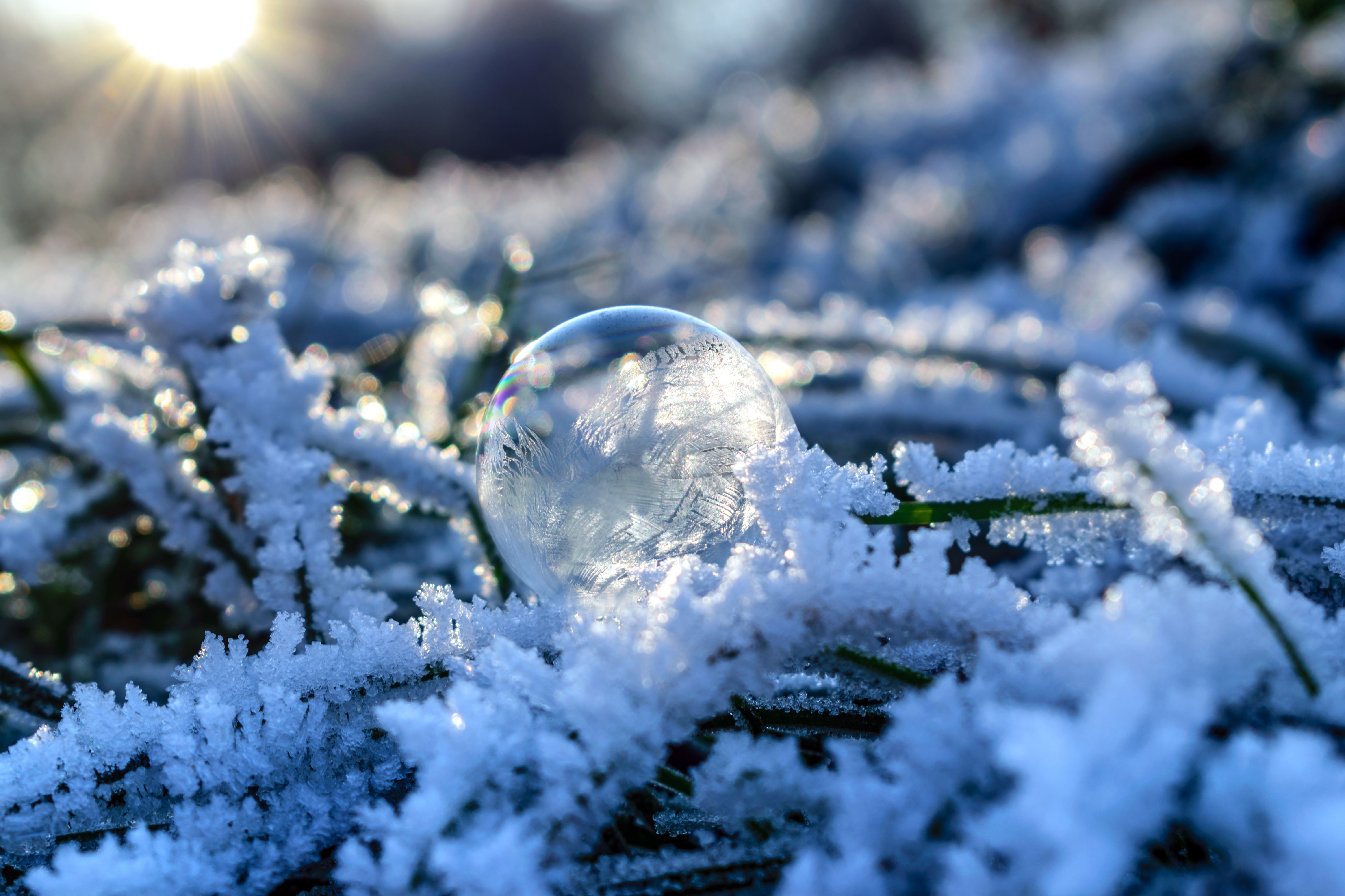 Download wallpaper 6000x4000 bubble, orb, frost, snow HD background