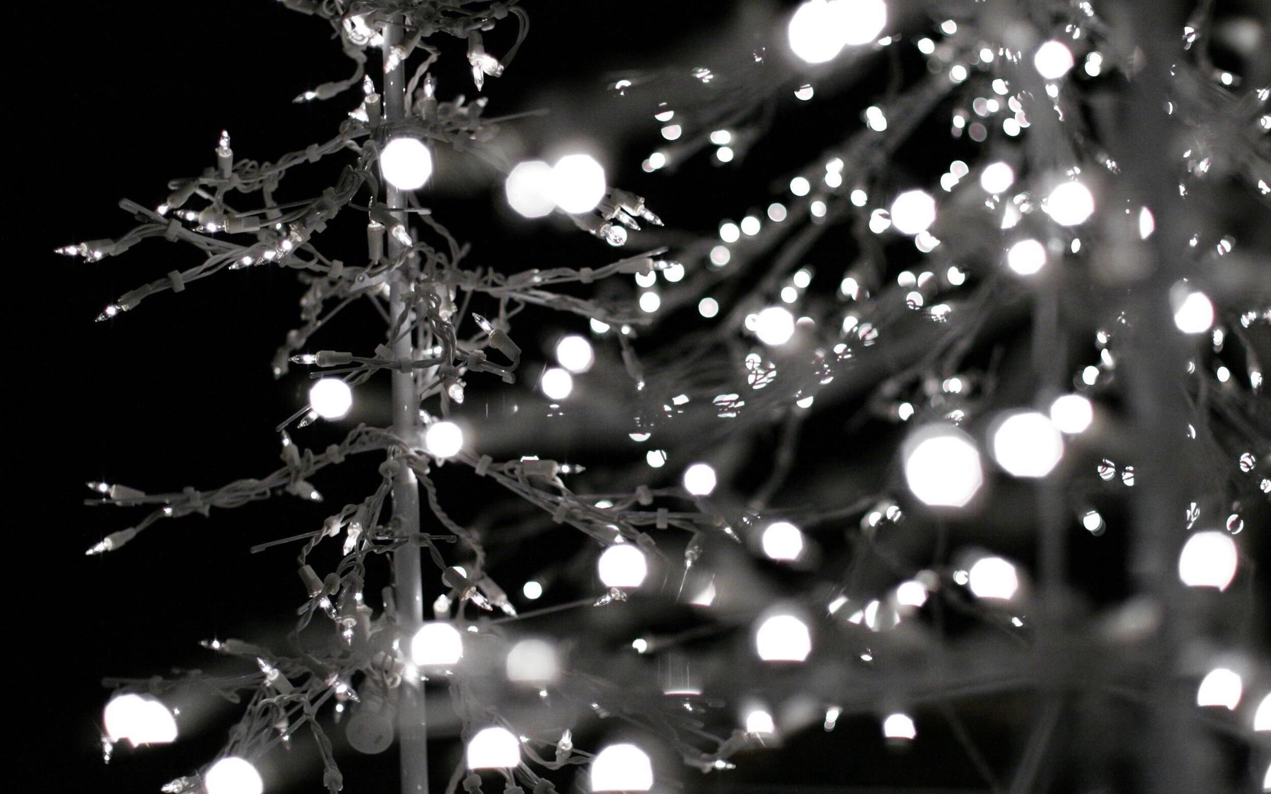 Black & white fairy lights. Tree wallpaper iphone, Christmas tree wallpaper, Christmas wallpaper tumblr