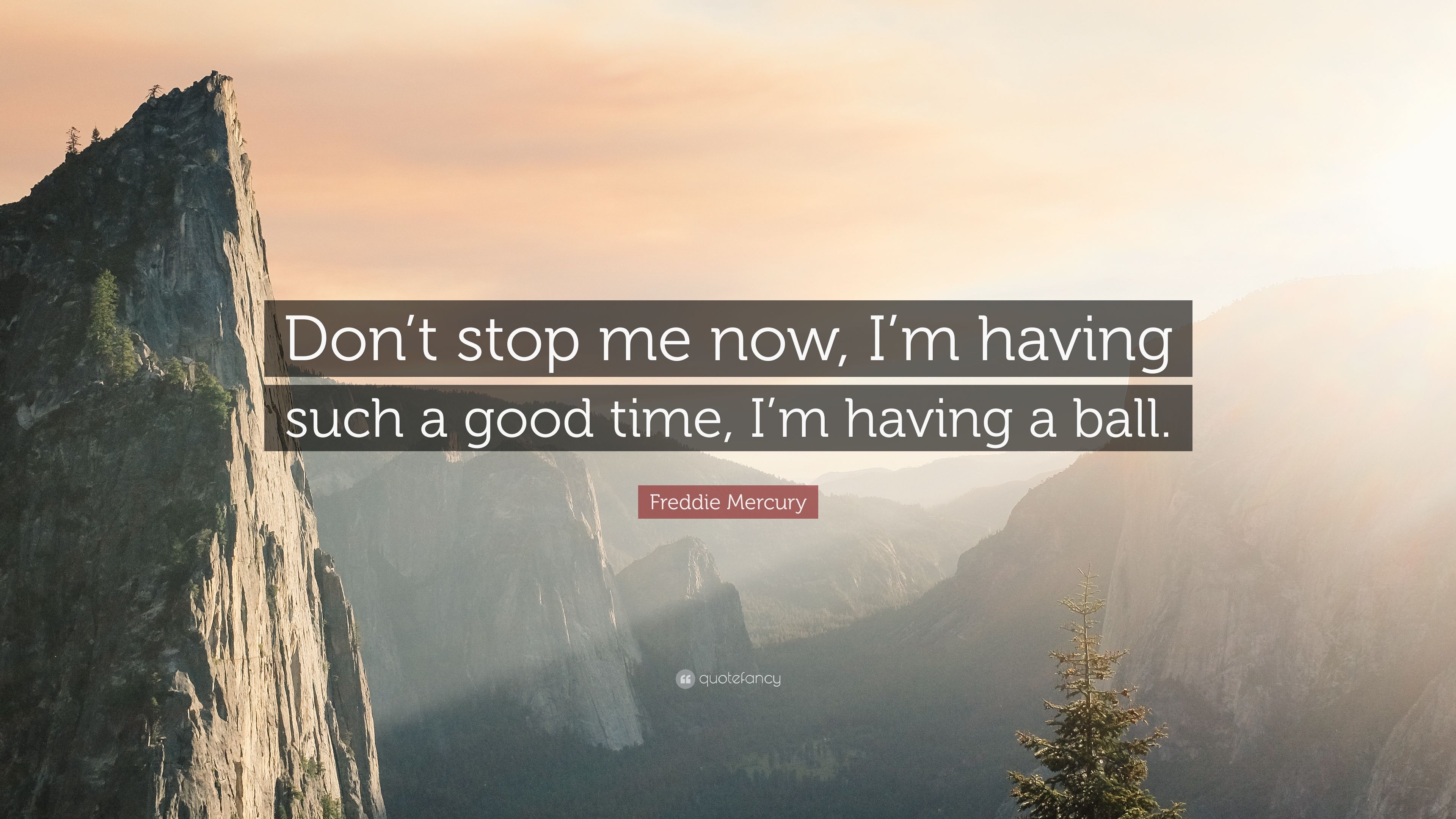 Freddie Mercury Quote: “Don't stop me now, I'm having such a good time, I'm having a ball.” (7 wallpaper)