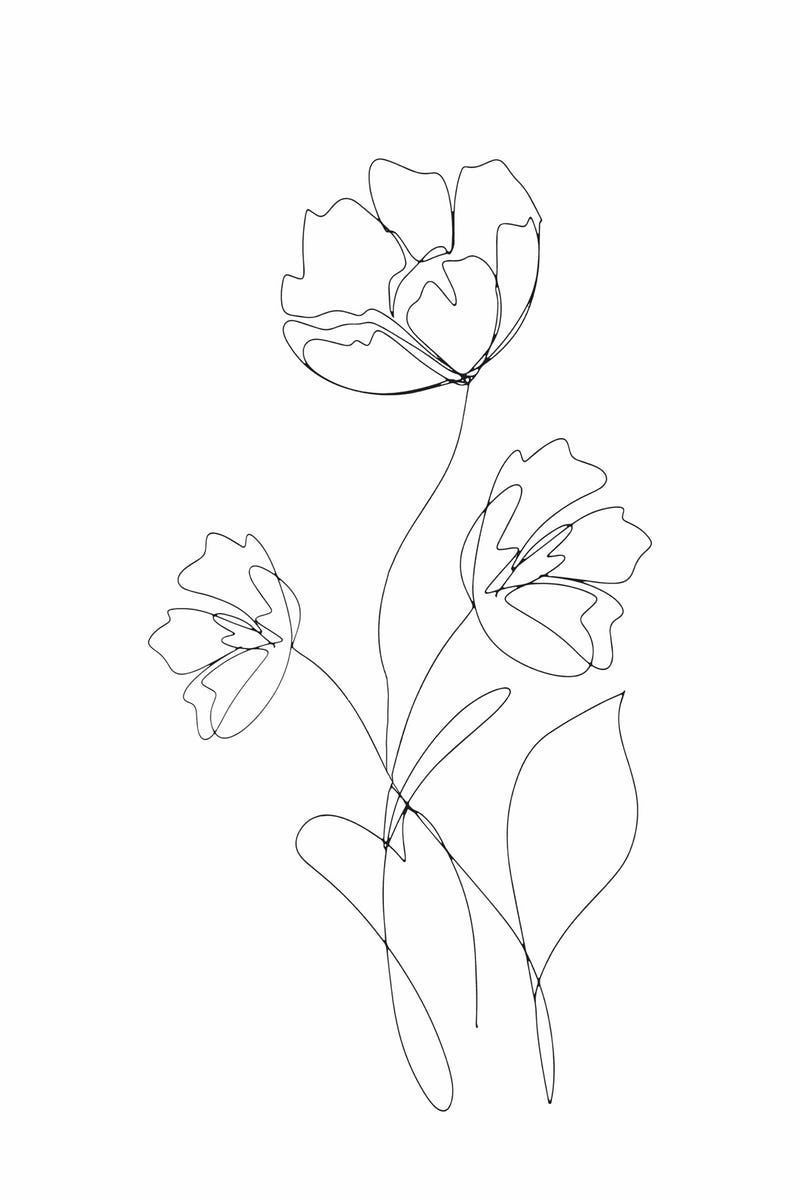 Poppies Minimal Line Art Wallpaper from Happywall.com. Line art drawings, Line art flowers, Line art design
