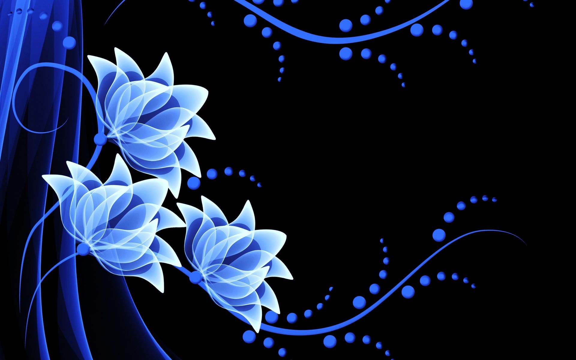 White & Blue Flowers desktop PC and Mac wallpaper