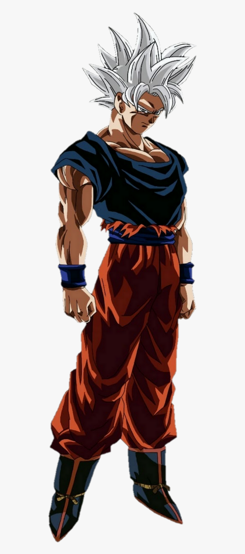 Goku Maîtrisé Ultra Instinct Saiyan 4 Black, HD Png Download, Transparent Png Image