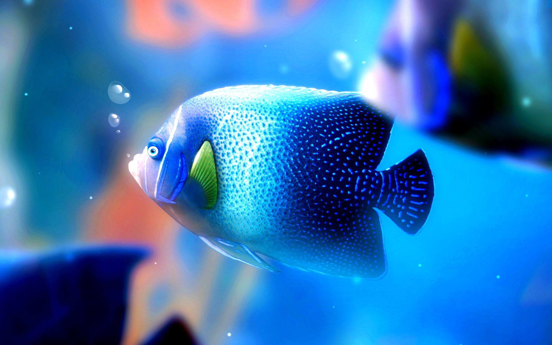 Free Download 4K Fish Wallpapers Computer - PixelsTalk.Net