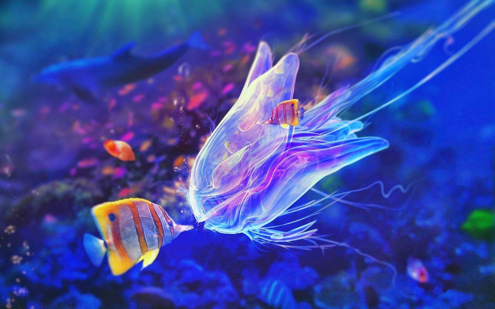 Colourful Underwater