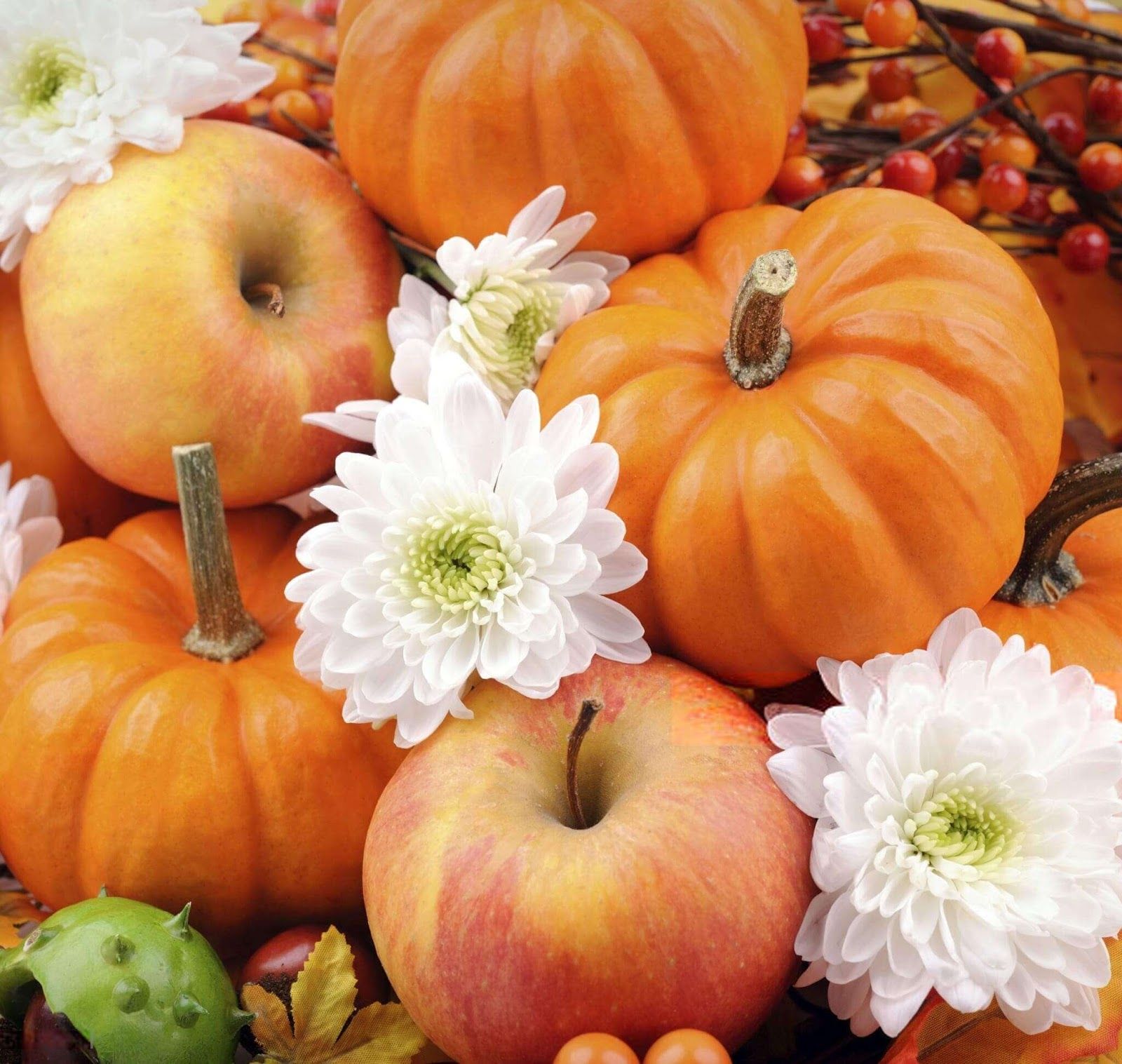 Background Thanksgiving Wallpaper HD Wallpaper & Background Download