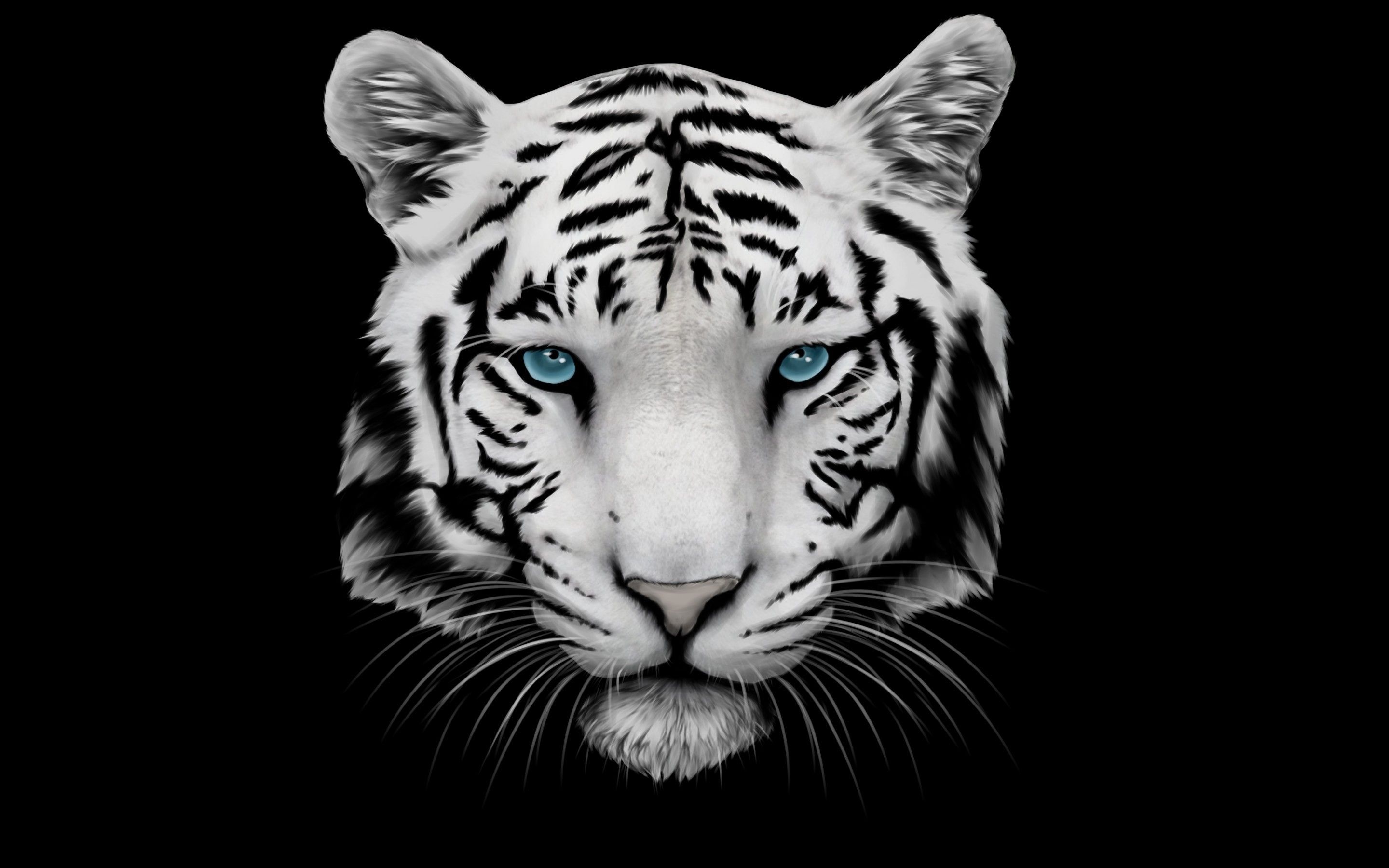 White Tiger and Blue Eyes HD Wallpaper