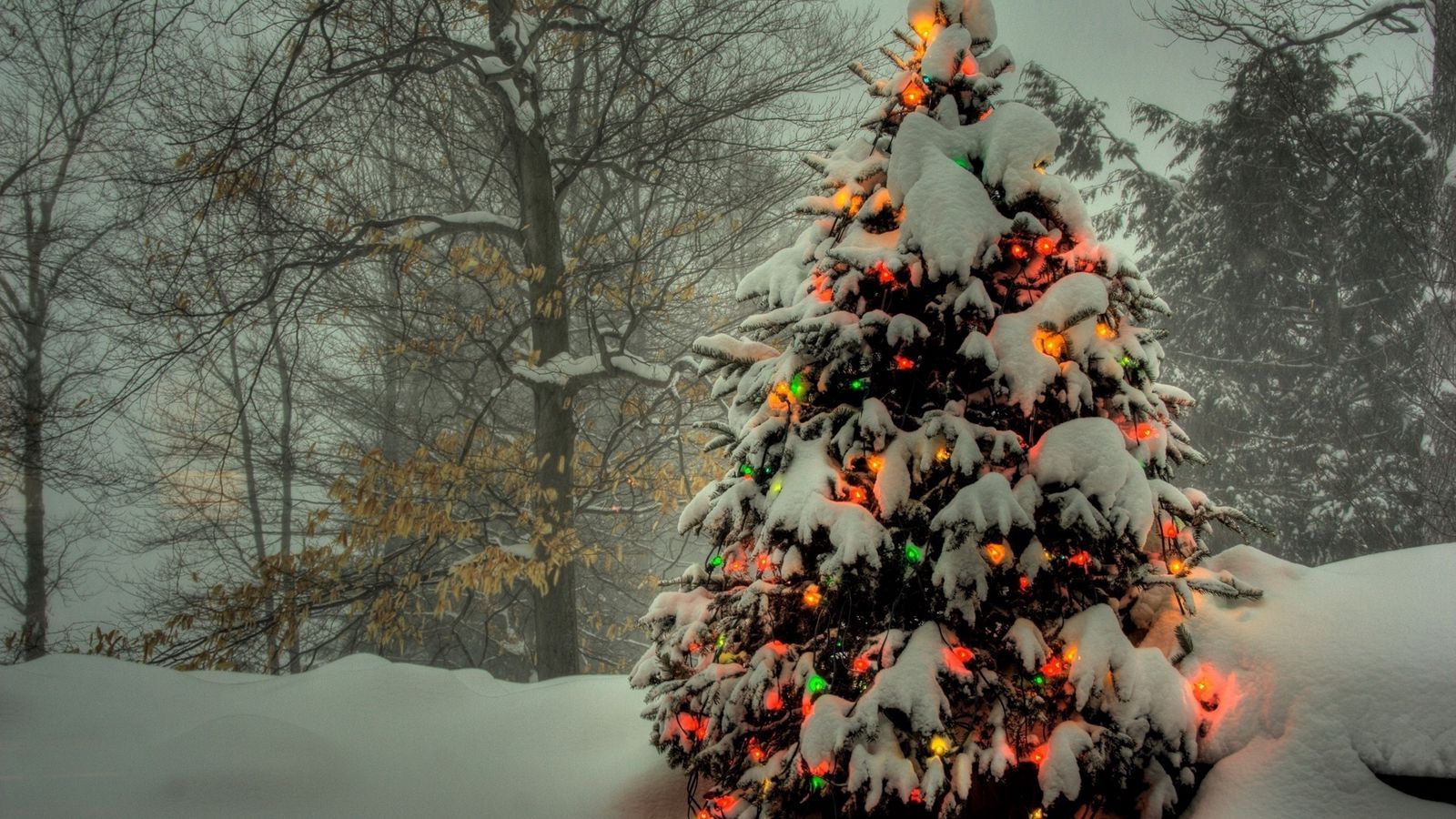 Download wallpaper 1600x900 christmas tree, toys, light, snow widescreen 16:9 HD background