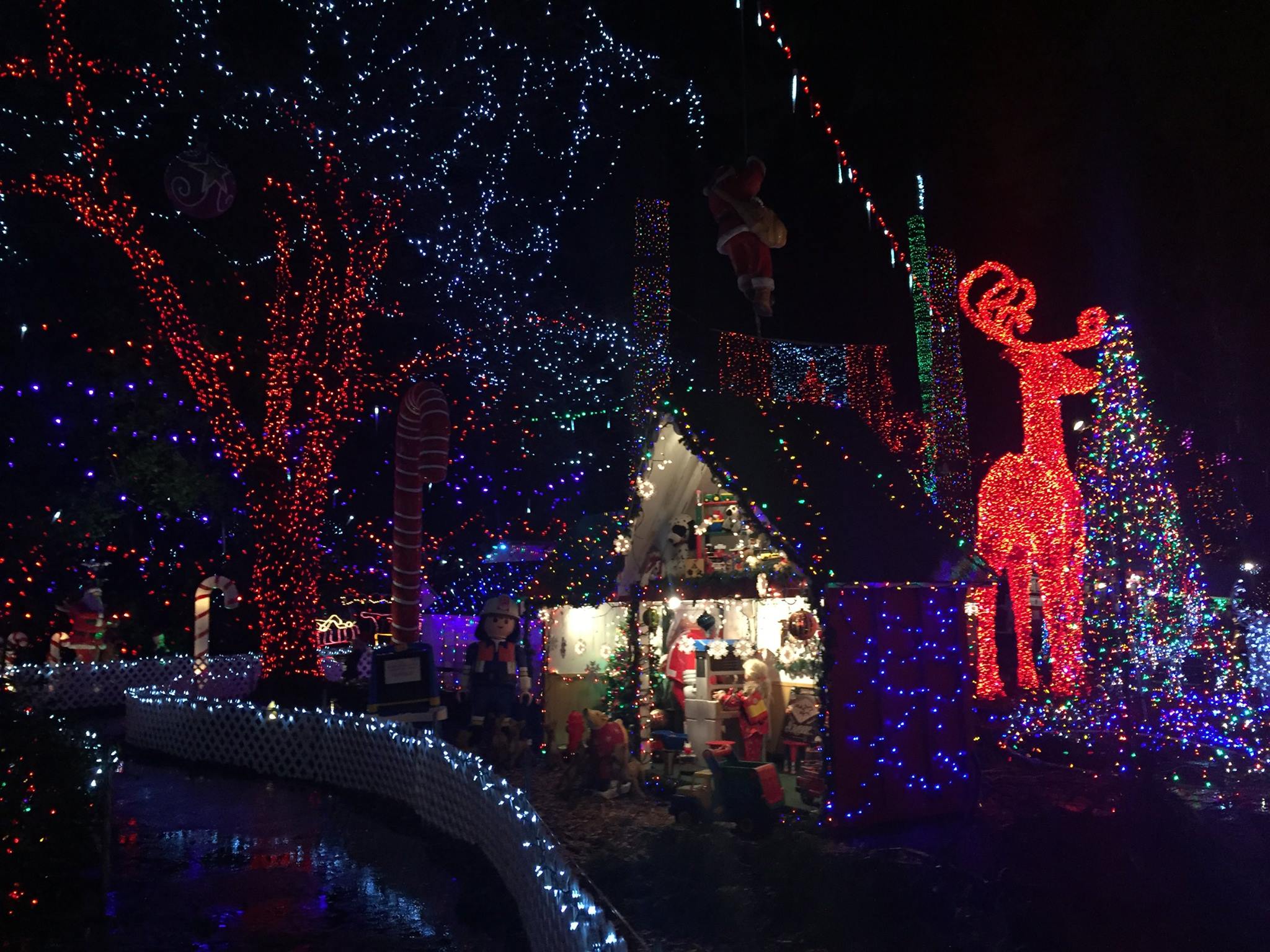 This Stanley Park Event Features A Train Ride & 3 Million Christmas Lights