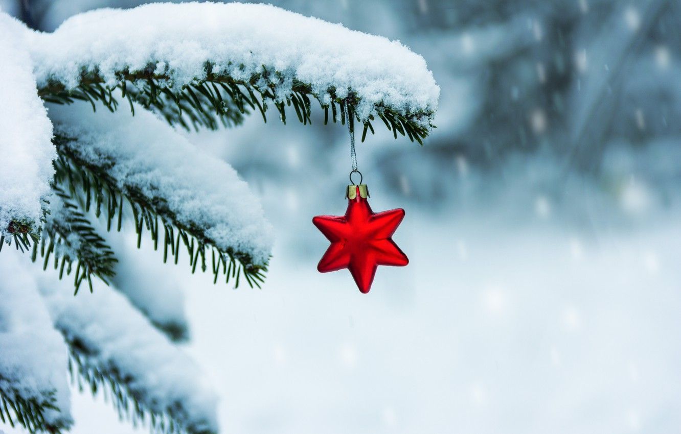 Wallpaper Winter, Snow, Star, Tree, Branch, New Year, Christmas, Christmas, Winter, Snow, Merry, Decoration, Red Star, Fir Tree, Fir Tree Branches Image For Desktop, Section новый год