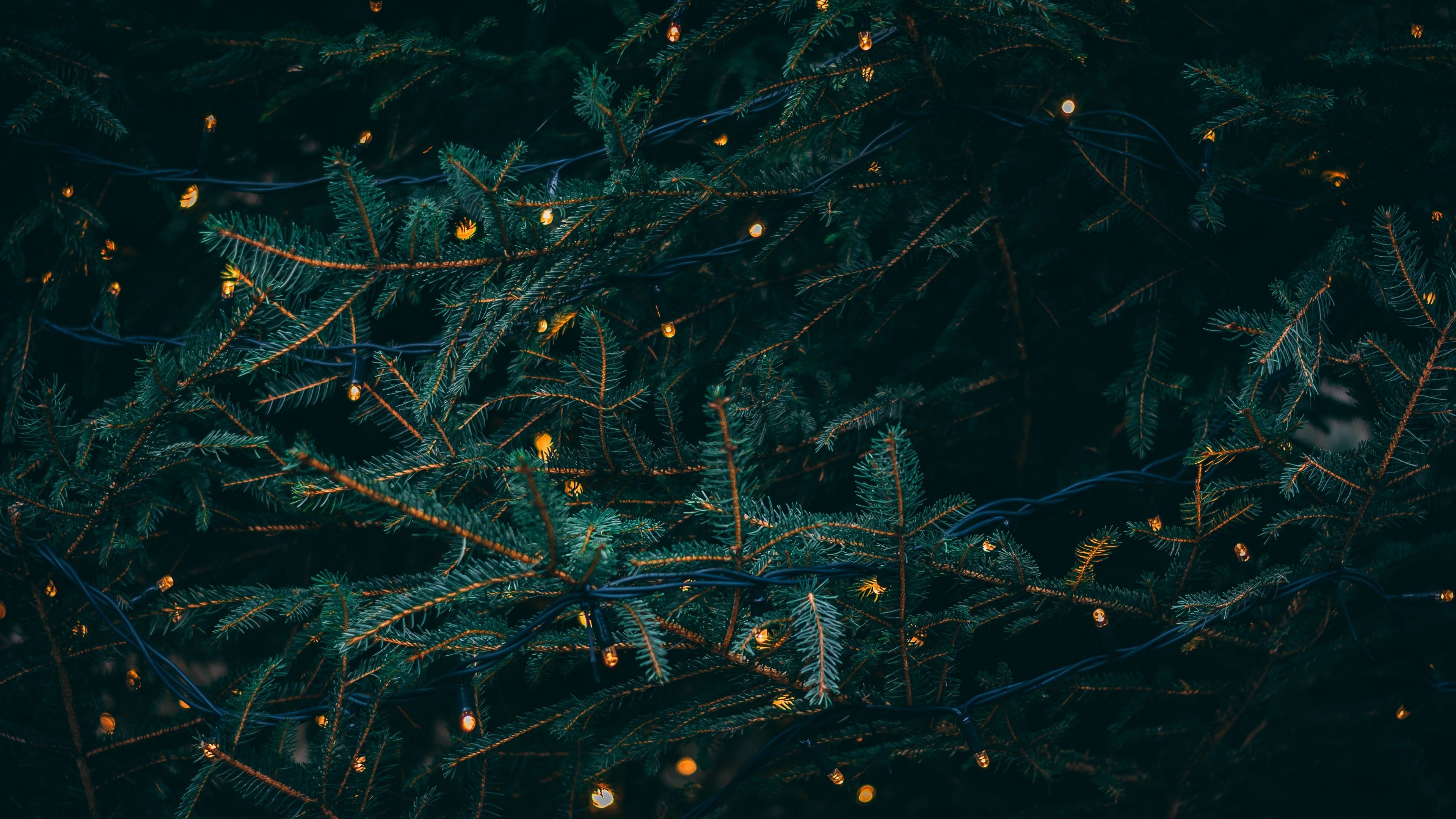 branches, garland, spruce 4k spruce, garland, branches. Christmas desktop, Christmas picture, Christmas desktop wallpaper