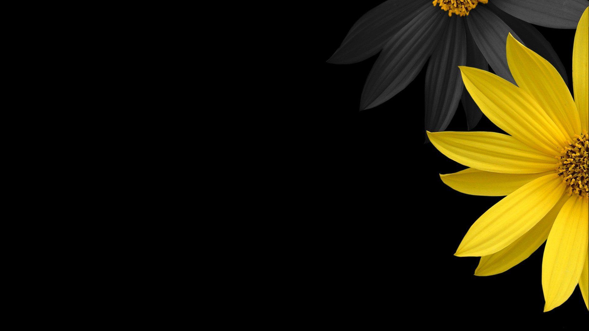 Free download Thanksgiving Wallpaper empressgirliephotos 230 Full HD Wallpaper [1920x1080] for your Desktop, Mobile & Tablet. Explore Thanksgiving Wallpaper 1920x1080. Star Wars Wallpaper 1920x1080, Nature Wallpaper 1920x1080, Space Wallpaper