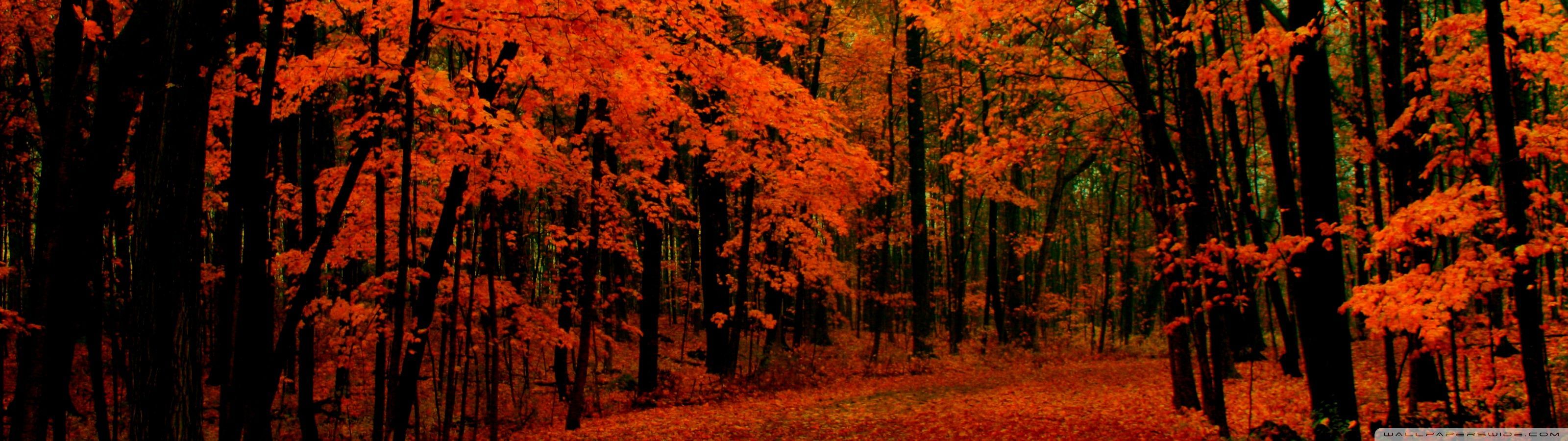 Autumn Triple Monitor Wallpapers - Wallpaper Cave