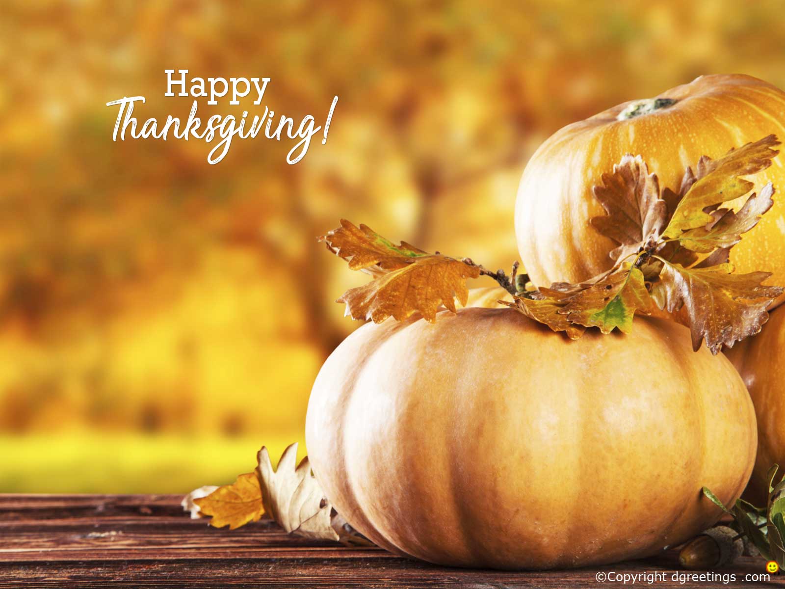 Thanksgiving Wallpaper Great Way to Show How grateful You Are