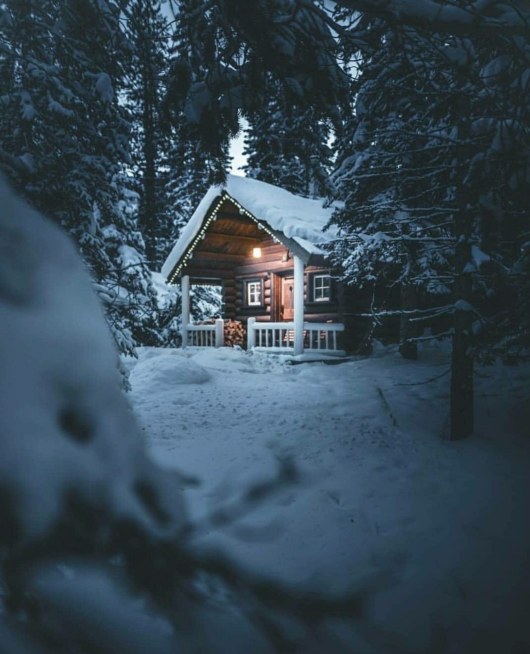 cabin in the woods winter