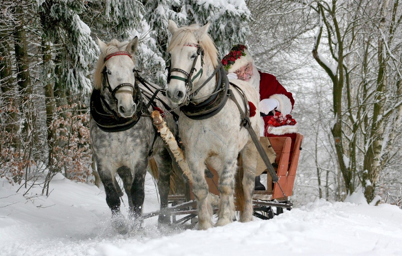 Wallpaper winter, forest, snow, horses, horse, sleigh, Santa Claus, Santa Claus image for desktop, section новый год