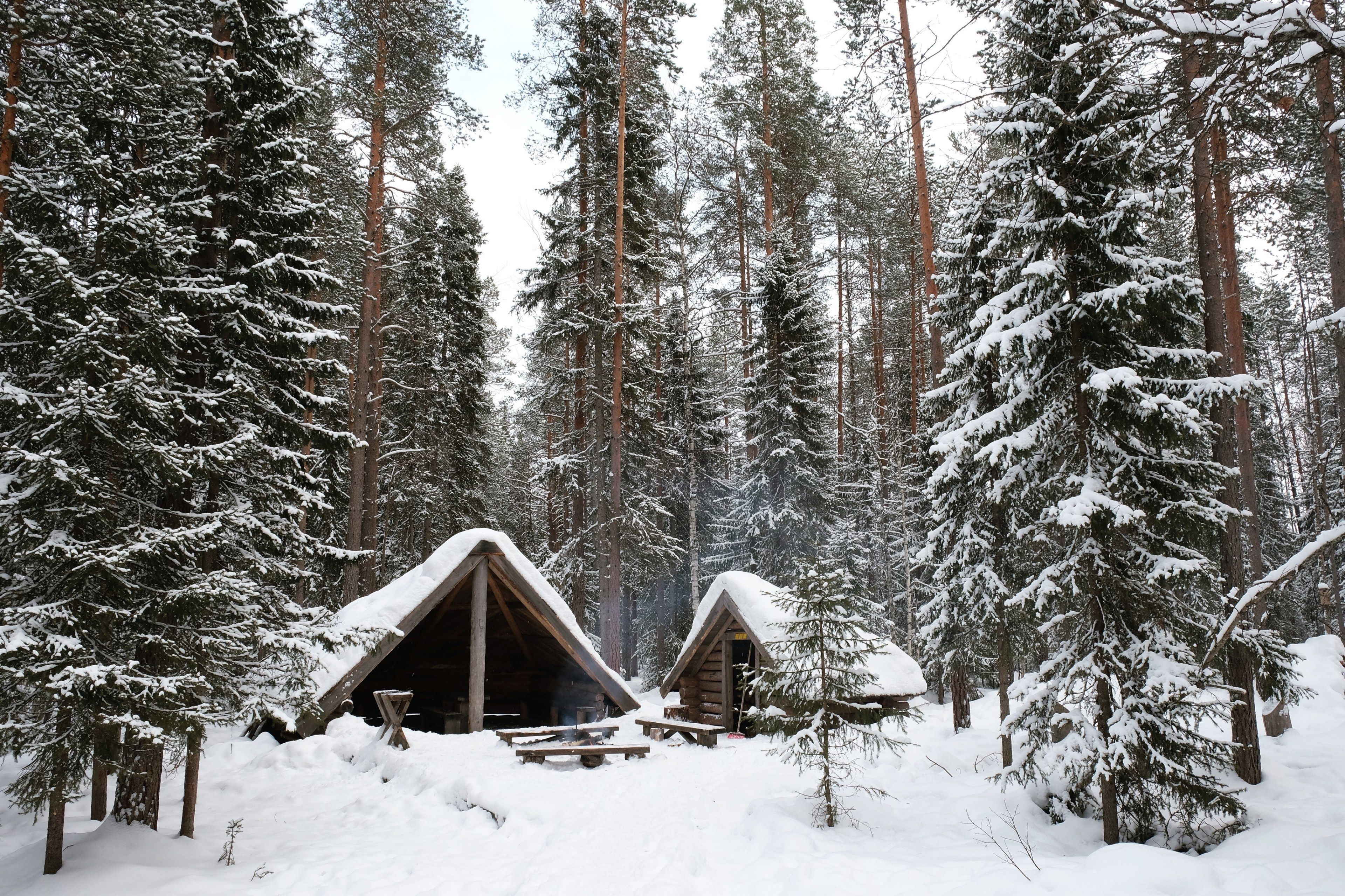 Wallpaper / looking at small cabins inside a forest in rovaniemi during the cold winter months in finland, cabin in winter wonderland 4k wallpaper free download