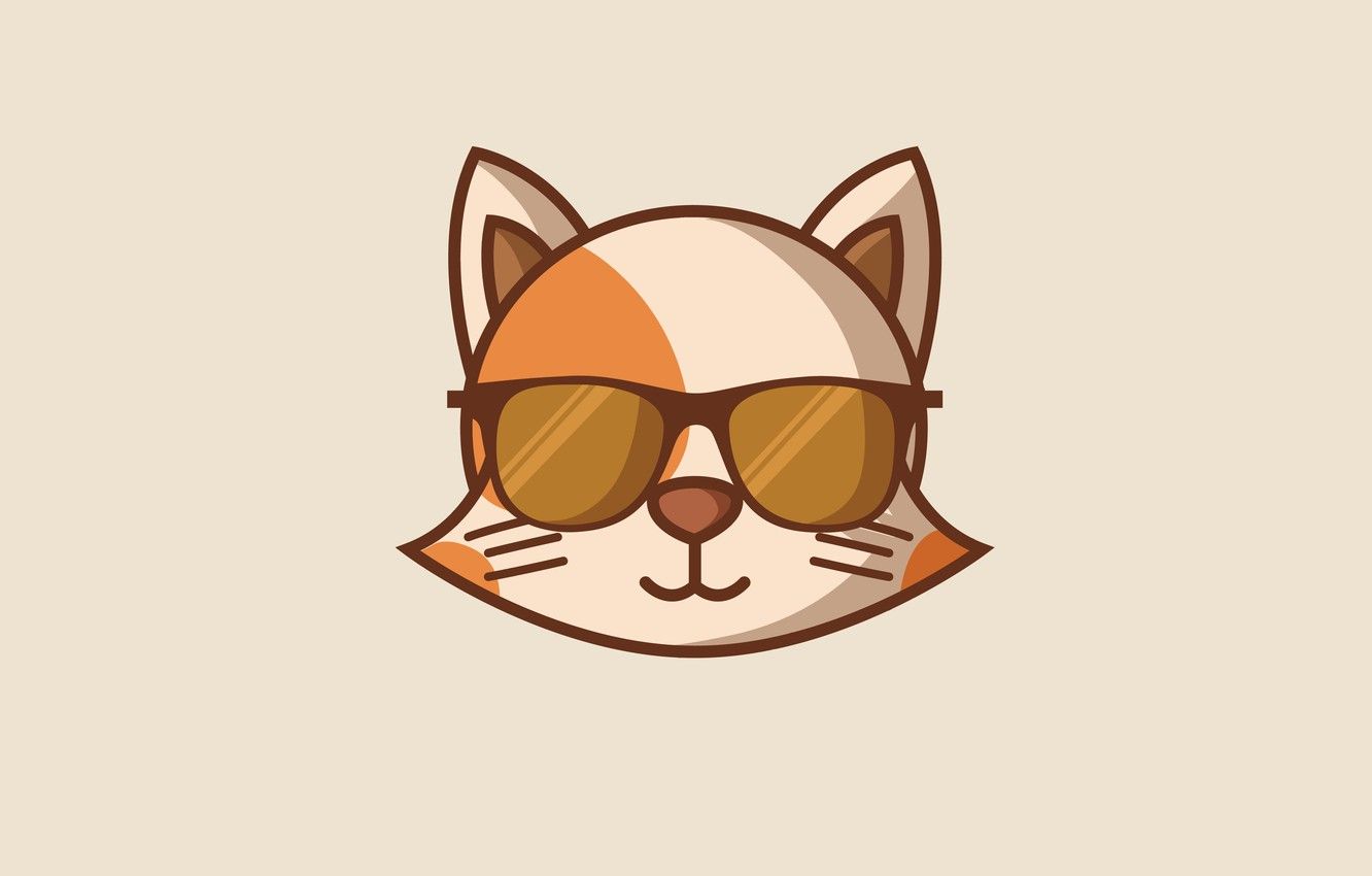 Wallpaper cat, cat, minimalism, head, glasses, cat image for desktop, section минимализм
