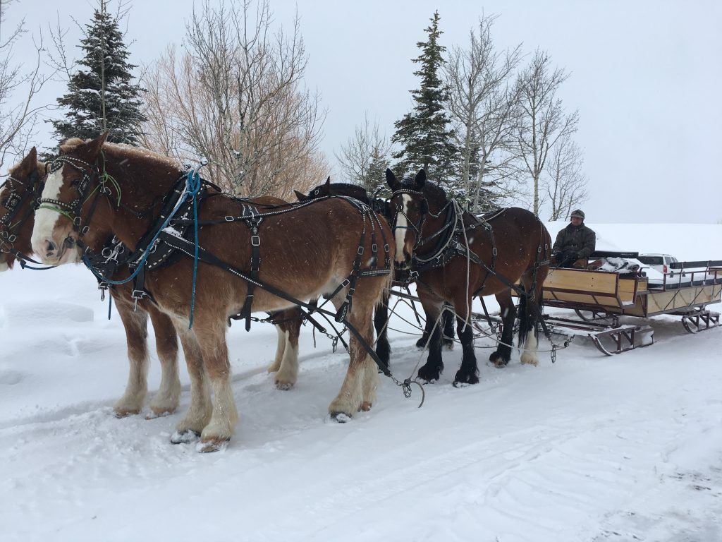 Sleigh Rides. Spring Creek Ranch. Jackson Hole, Wyoming