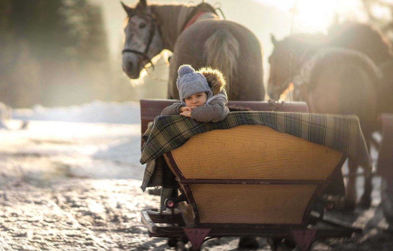 Wallpaper winter, snow, baby, horse, sleigh image for desktop, section настроения