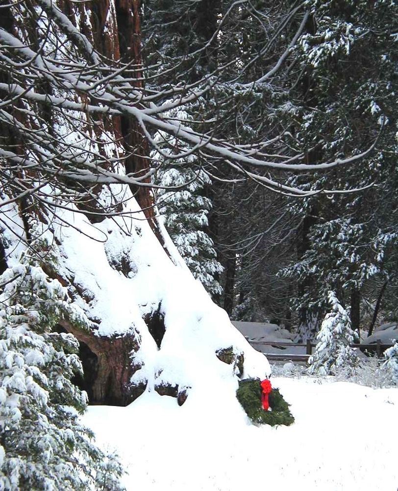 Photo Gallery & Kings Canyon National Parks (U.S. National Park Service)