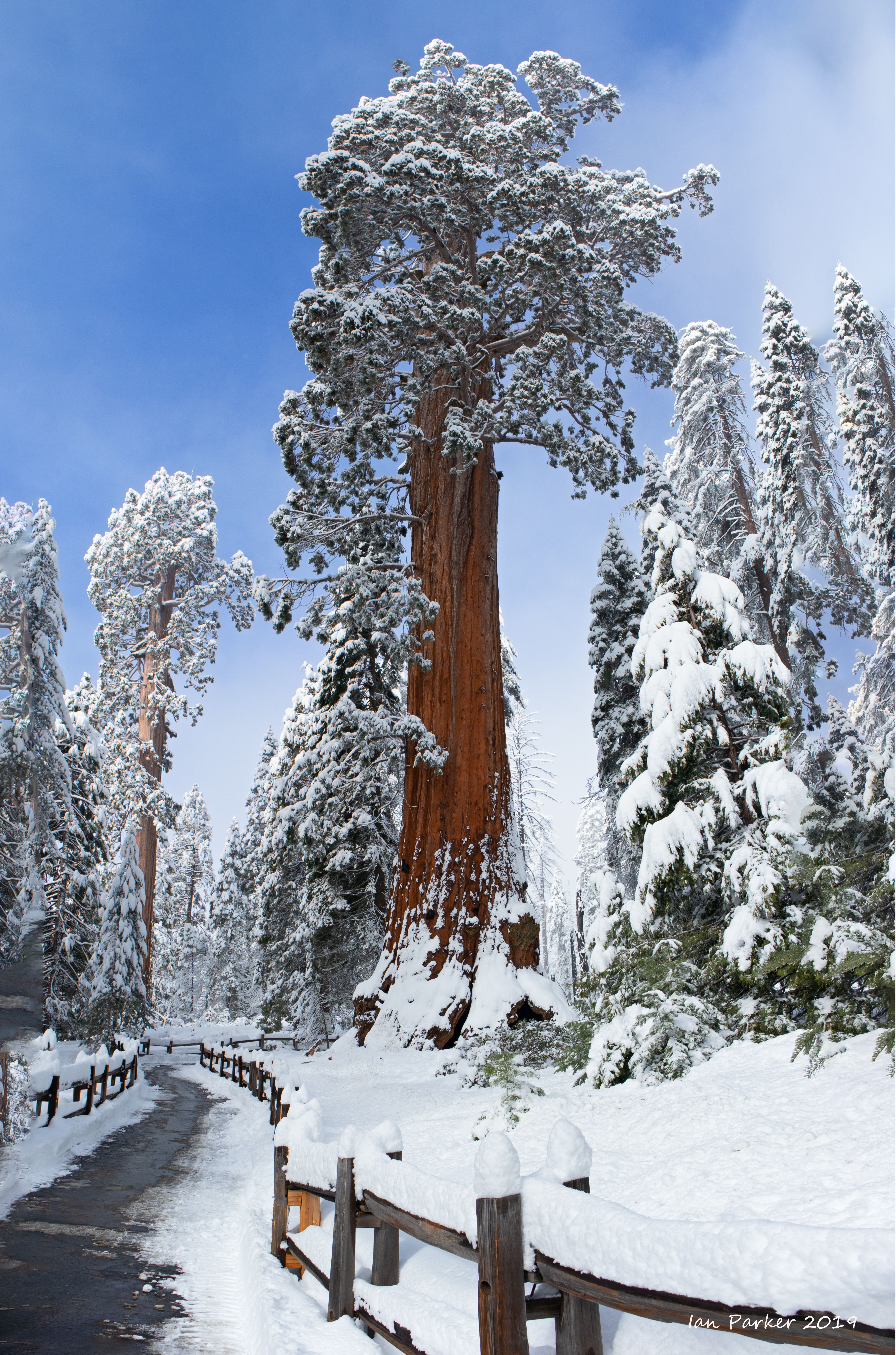 Evanescent Light, Kings Canyon