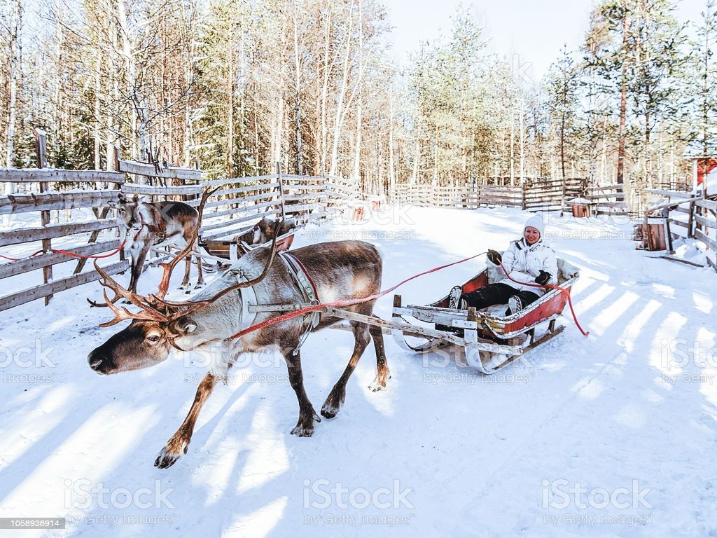 Girl In Reindeer Sleigh In Finland In Lapland Winter Image Now