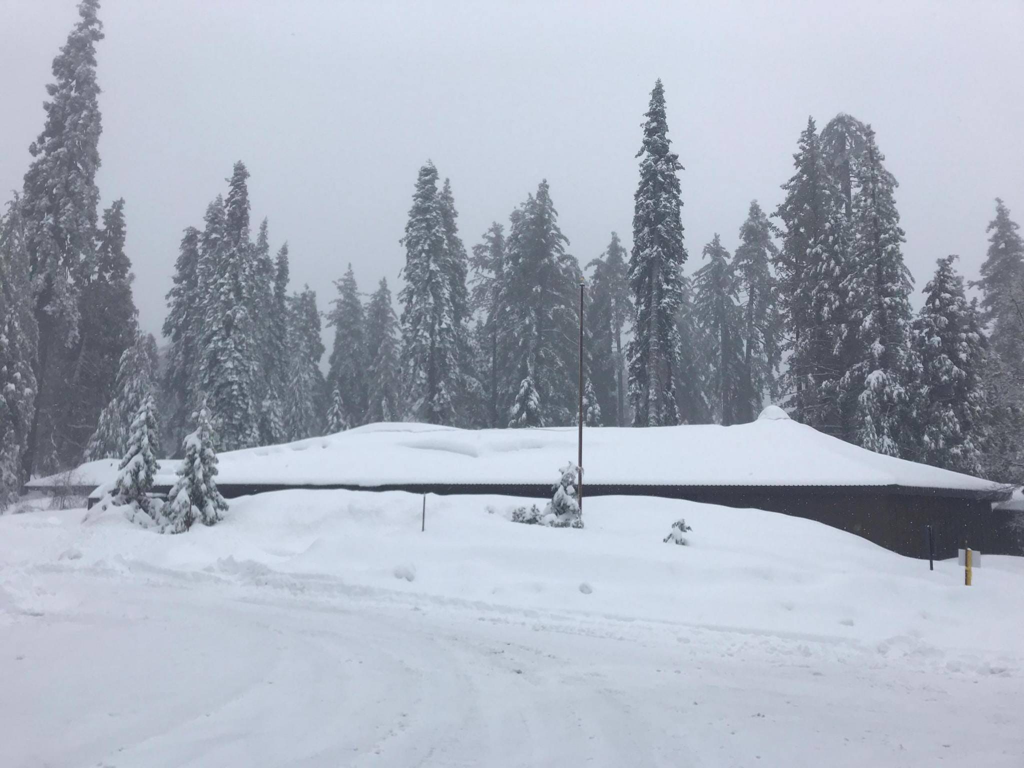 Kings Canyon entrance closed due to snow accumulation; Sequoia remains open —