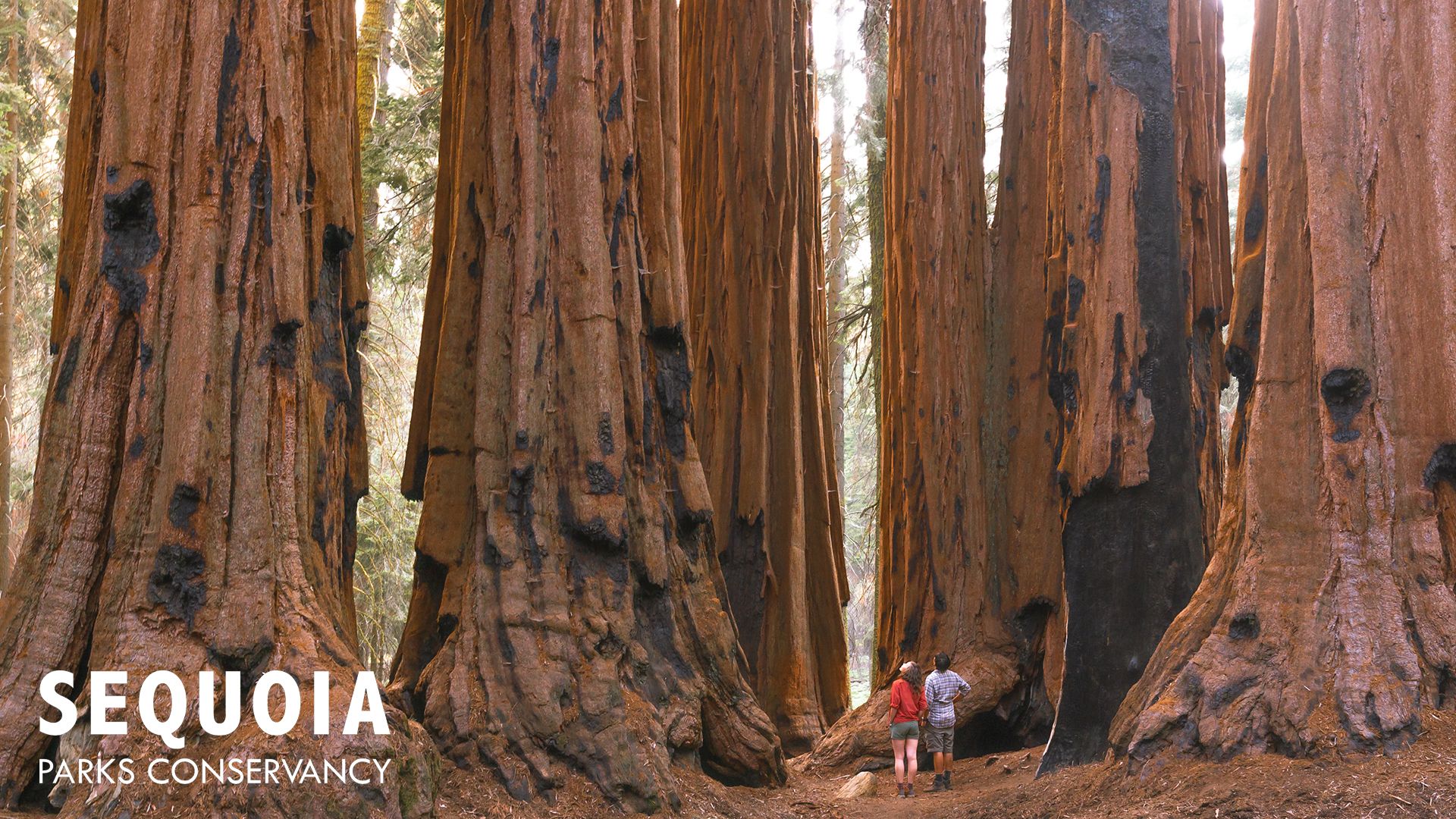 Photos and Fun PARKS CONSERVANCY